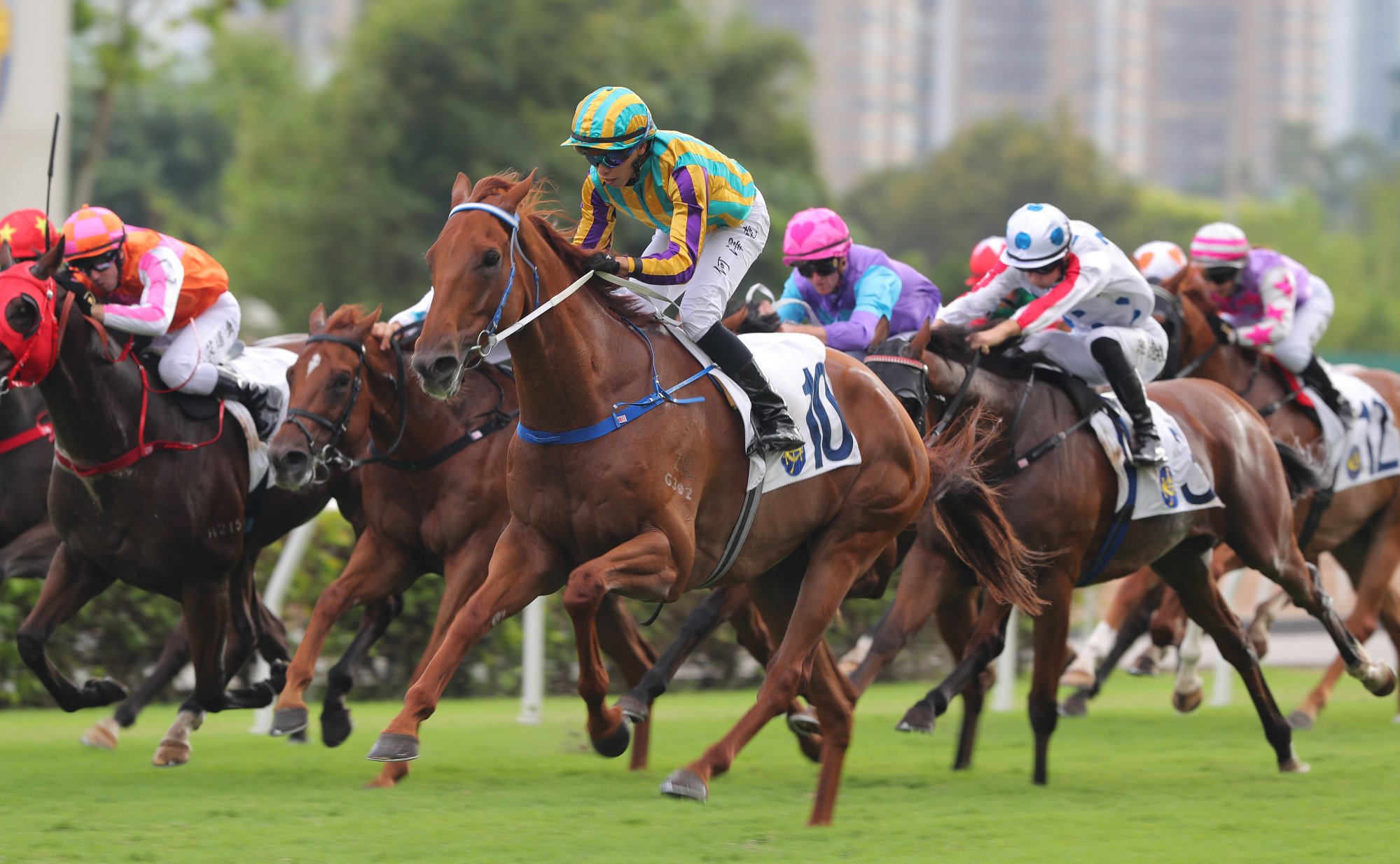 Karma wins under Vincent Ho last October.