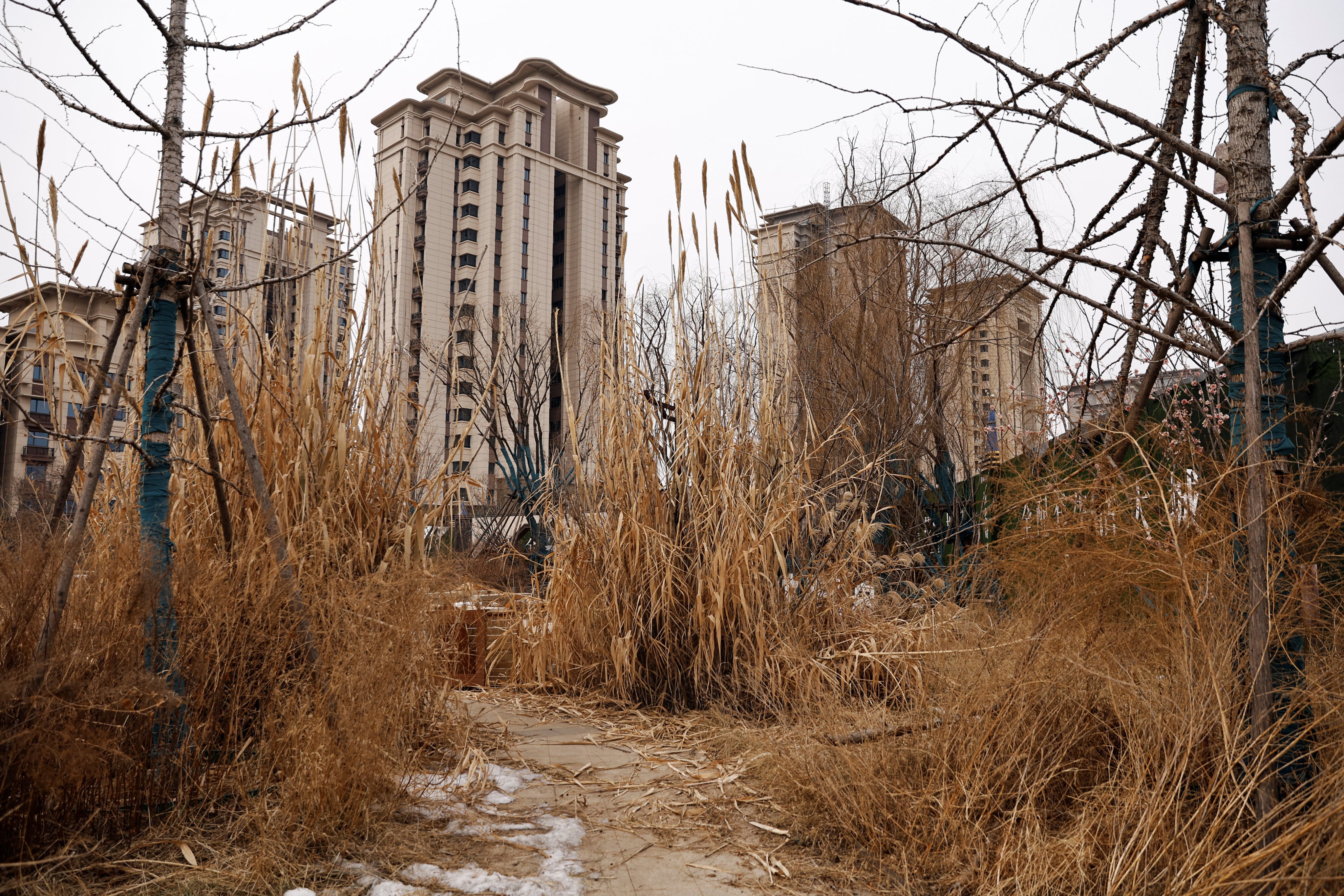 An unfinished residential compound developed by China Evergrande Group stands on the outskirts of Shijiazhuang, Hebei province, on February 1, 2024. Photo: Reuters