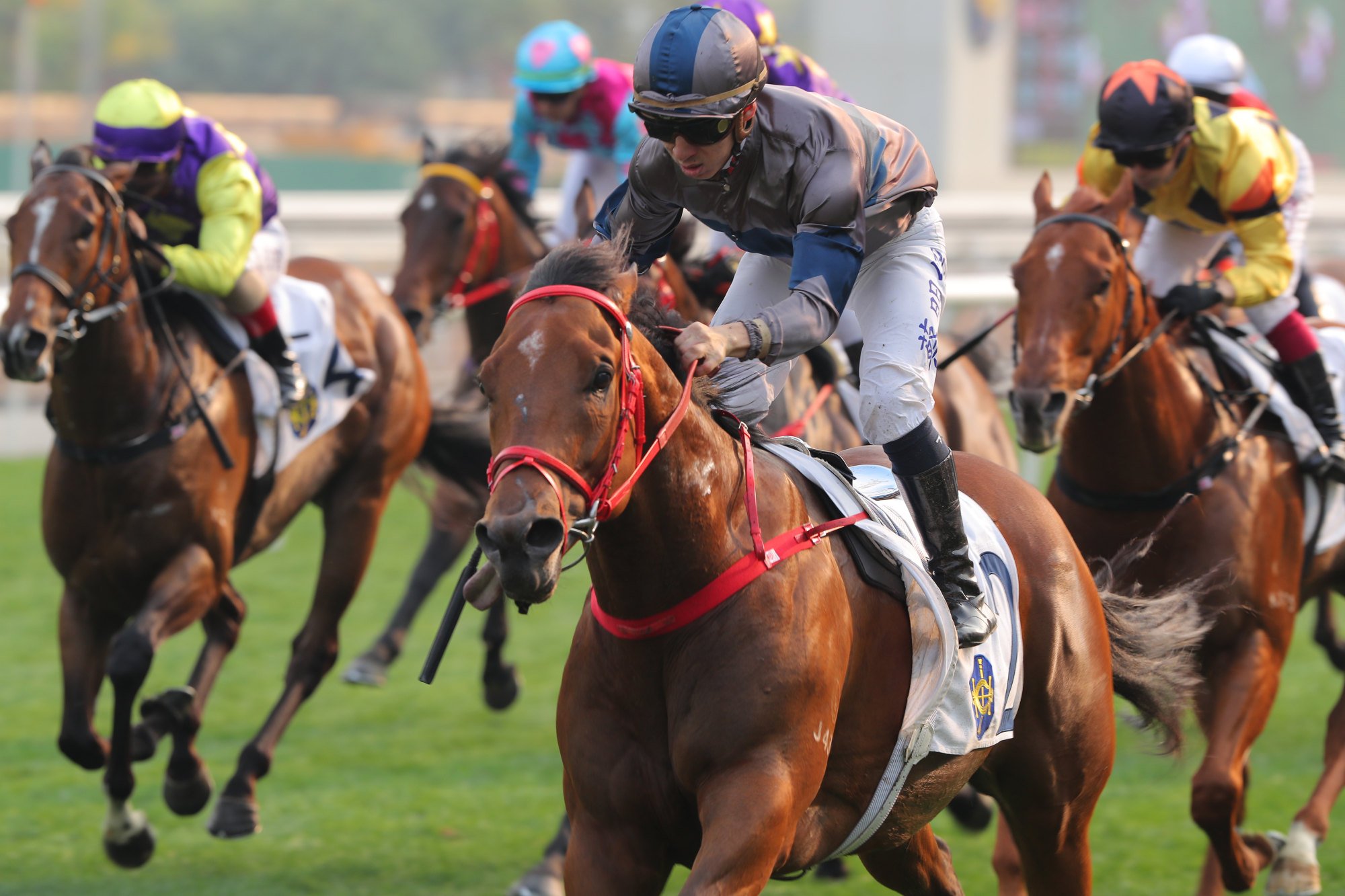 Horsepower flies down the straight to score under Matthew Chadwick. Horsepower flies down the straight to score under Matthew Chadwick.