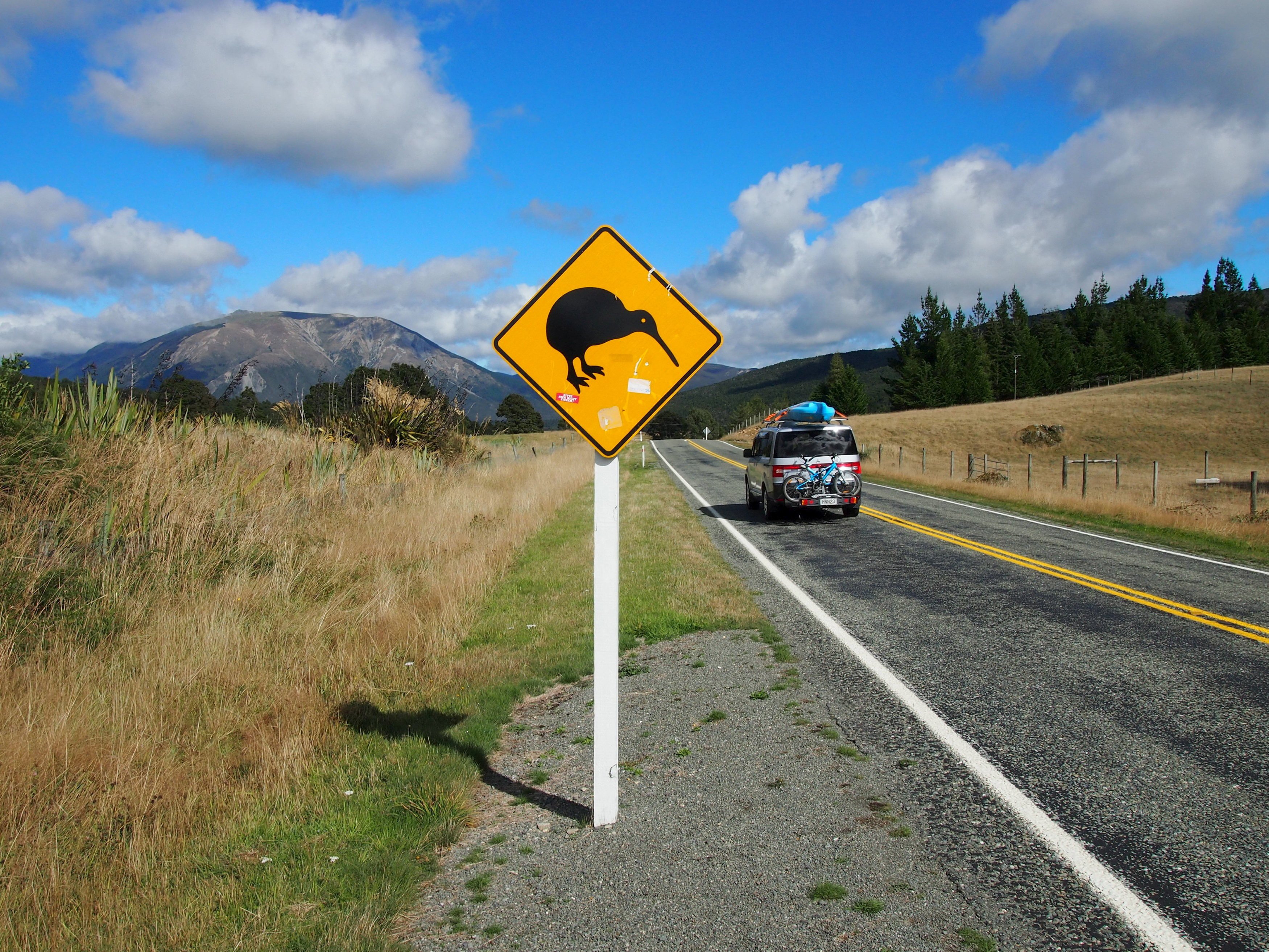 A car drives past a road sign on the South Island of New Zealand. Photo: Reuters