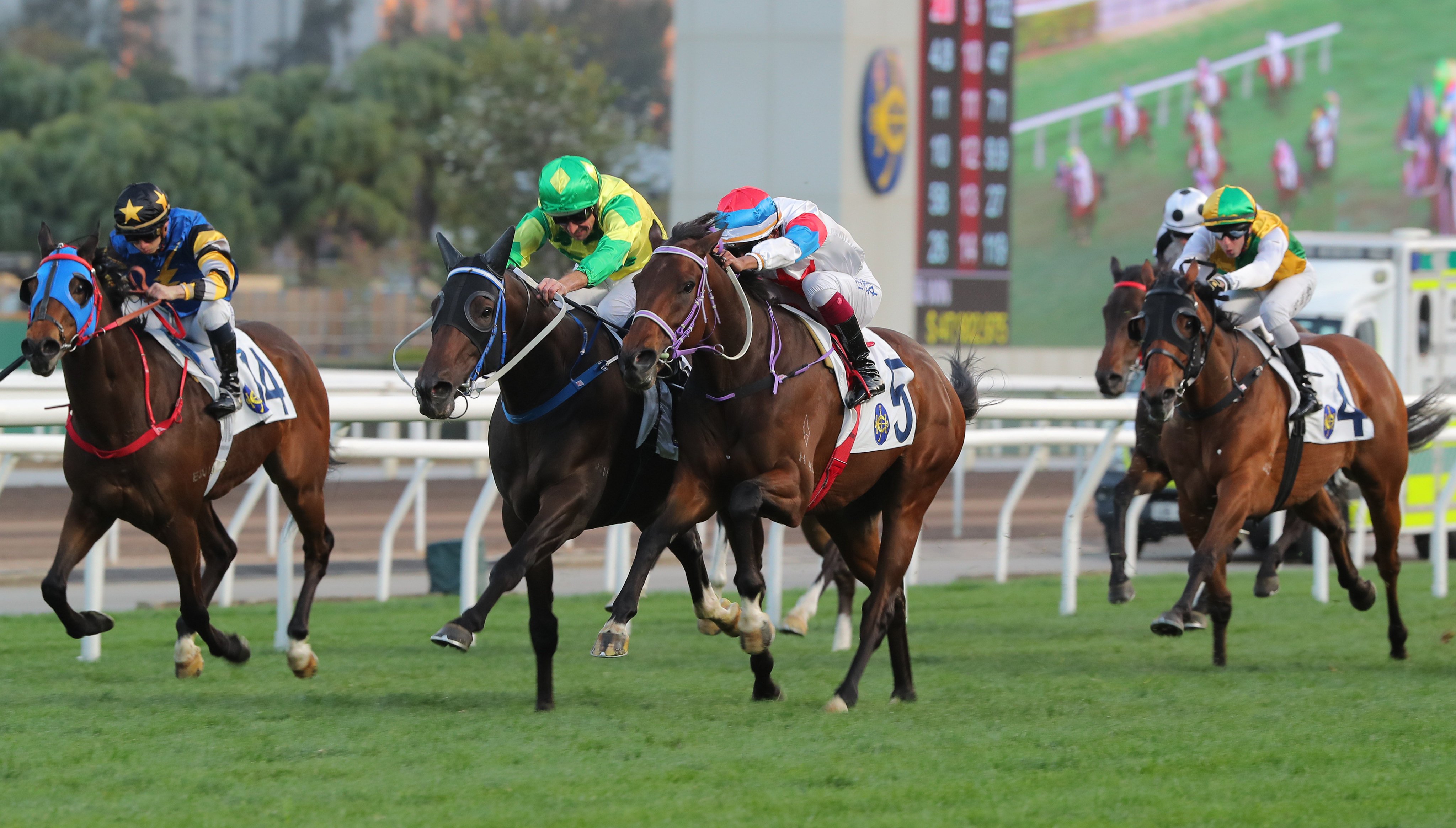 Sky Trust (left) and Winning Gold fight out the finish at Sha Tin on February 9. Photo: Kenneth Chan