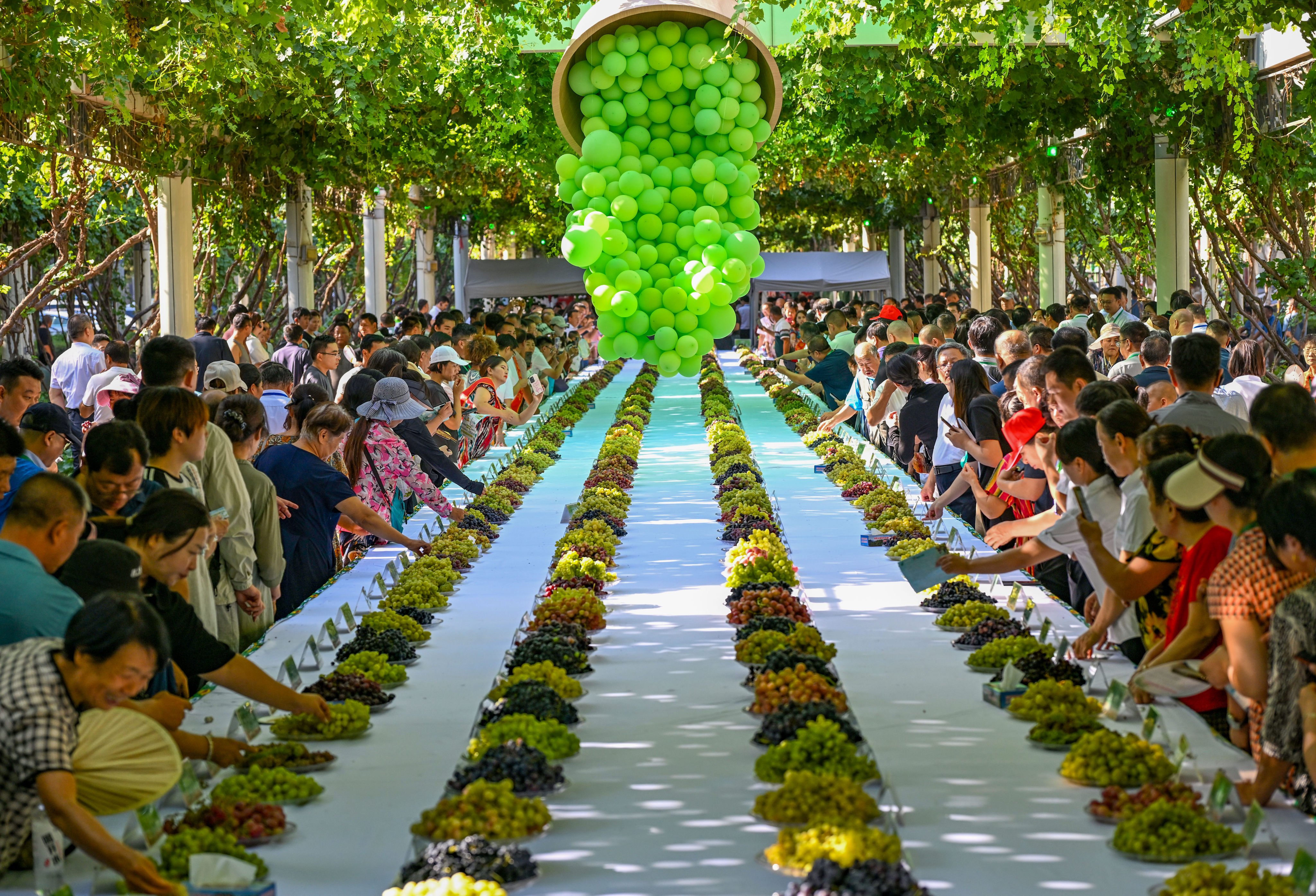 Tourists taste grapes at the 30th China Silk Road Turpan Grape Festival in Xinjiang, on August 17. Turpan, China’s main grape producer, has more than 550 types, making it the “vineyard of the world”. As a renowned culinary capital and an international wine trading hub, Hong Kong is ideally positioned to showcase these products. Photo: Xinhua