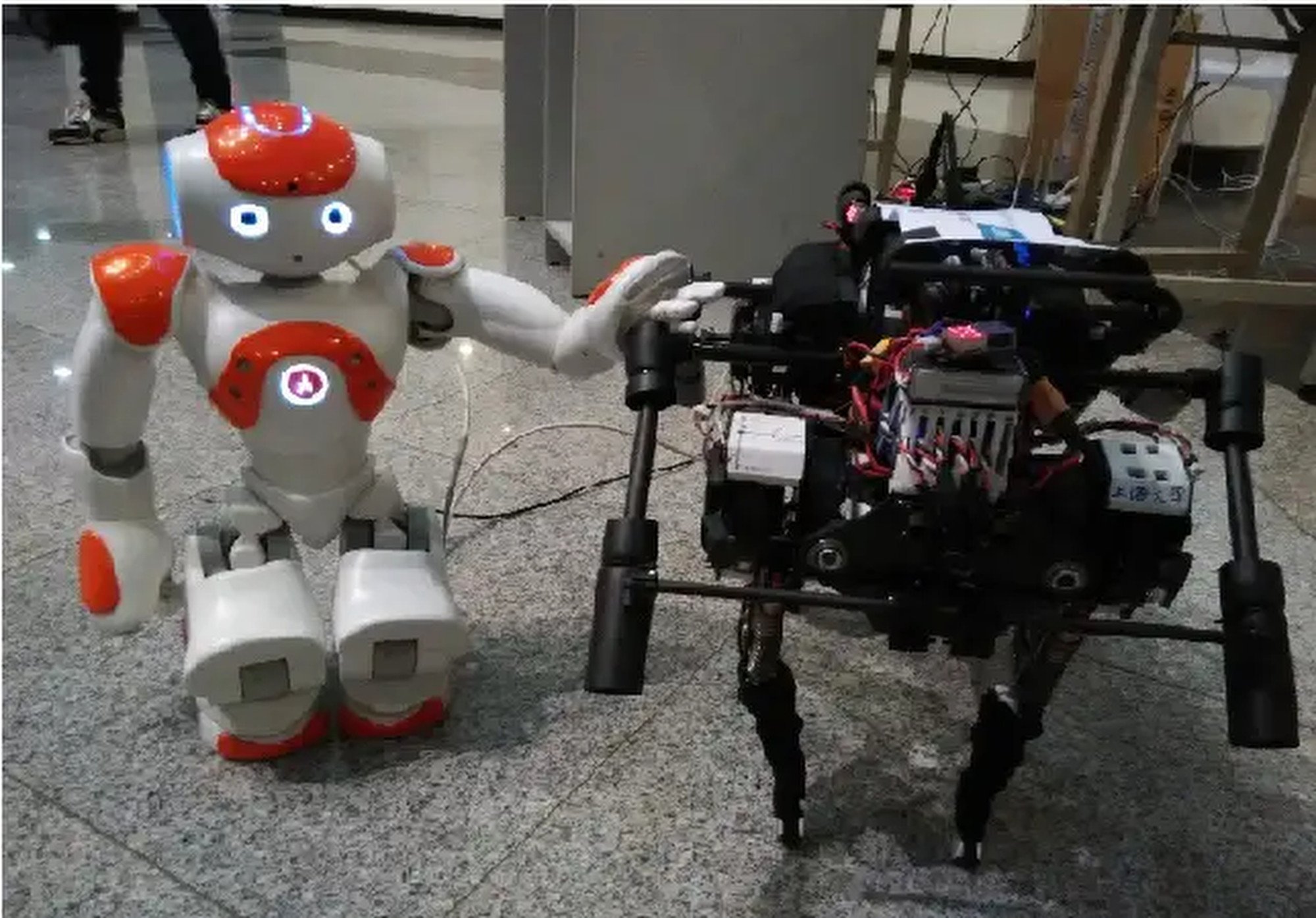Wang’s first quadruped robot, the XDog, on the right. Photo: Handout