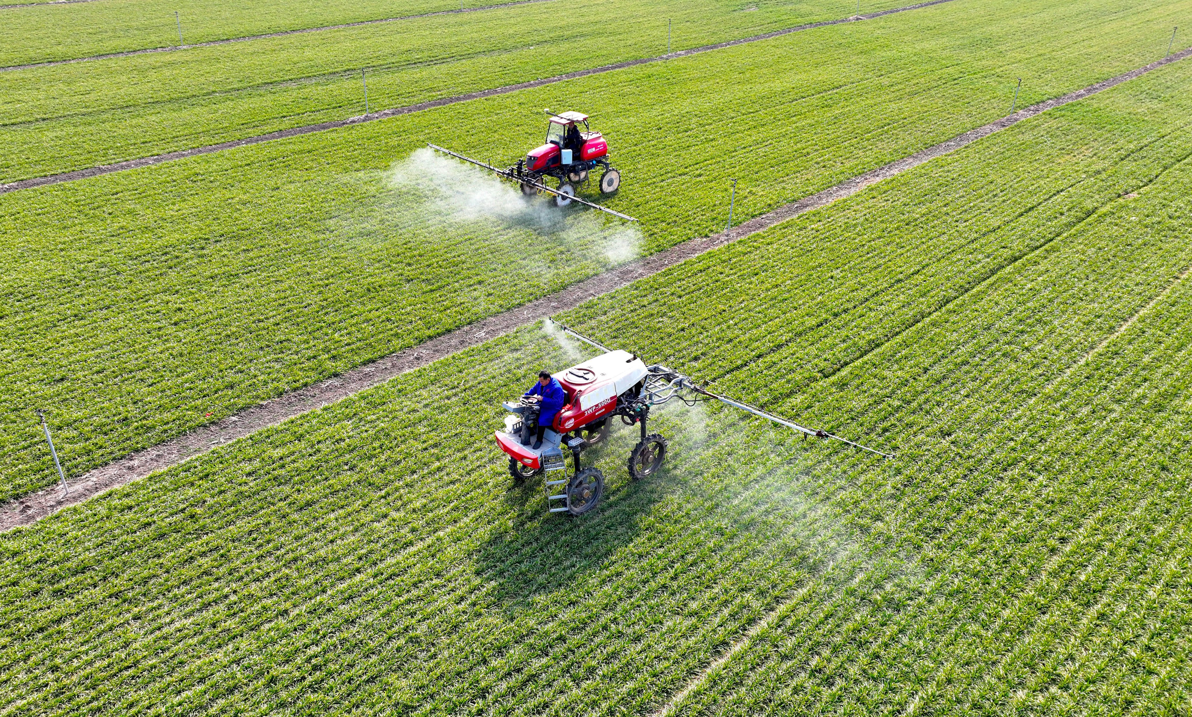 China has banned urban residents from buying up rural homes, as the government seeks to ensure migrant workers maintain a safety net amid a period of economic turbulence. Photo: Xinhua