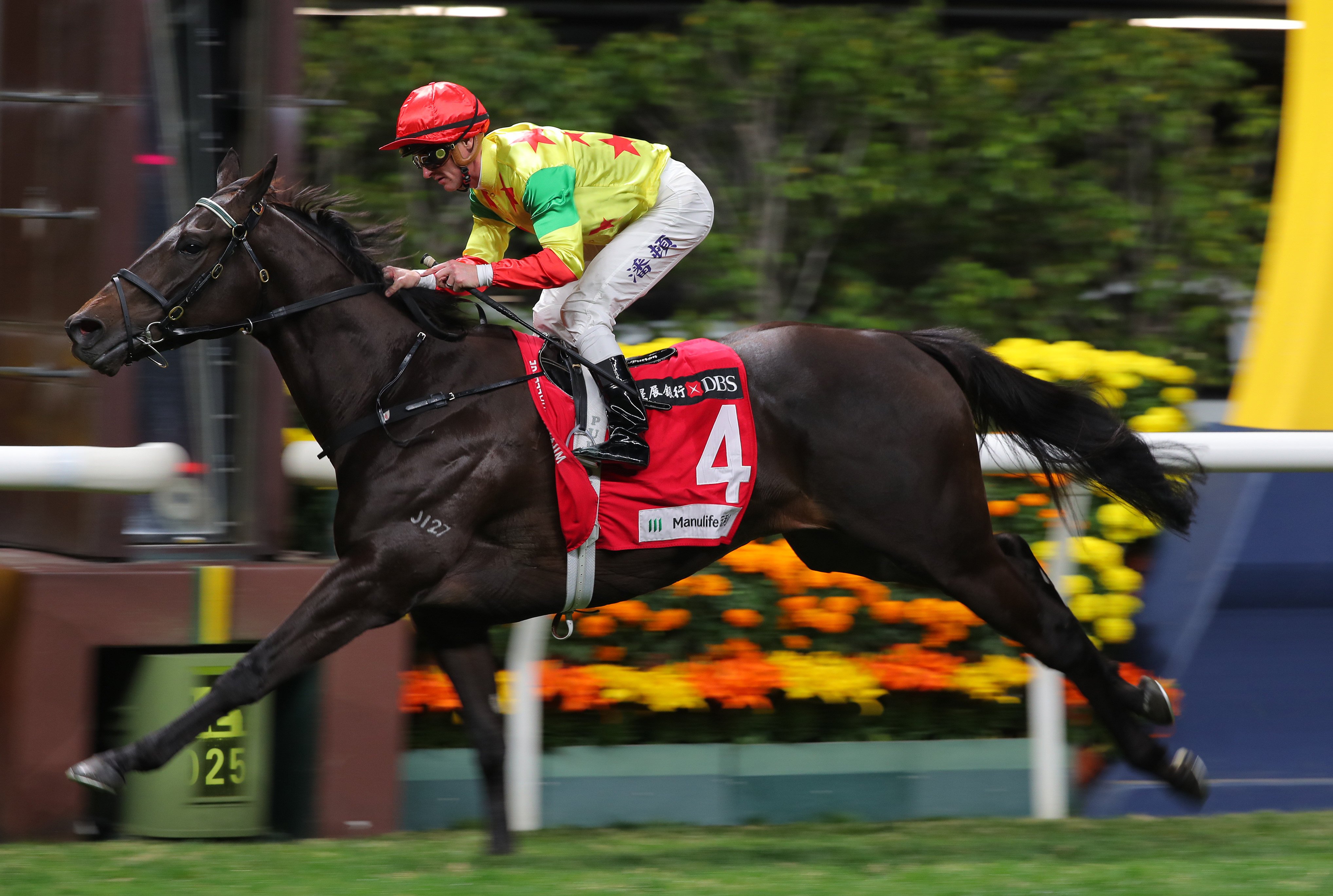 Soleil Fighter wins under Zac Purton at Happy Valley earlier this month. Photos: Kenneth Chan