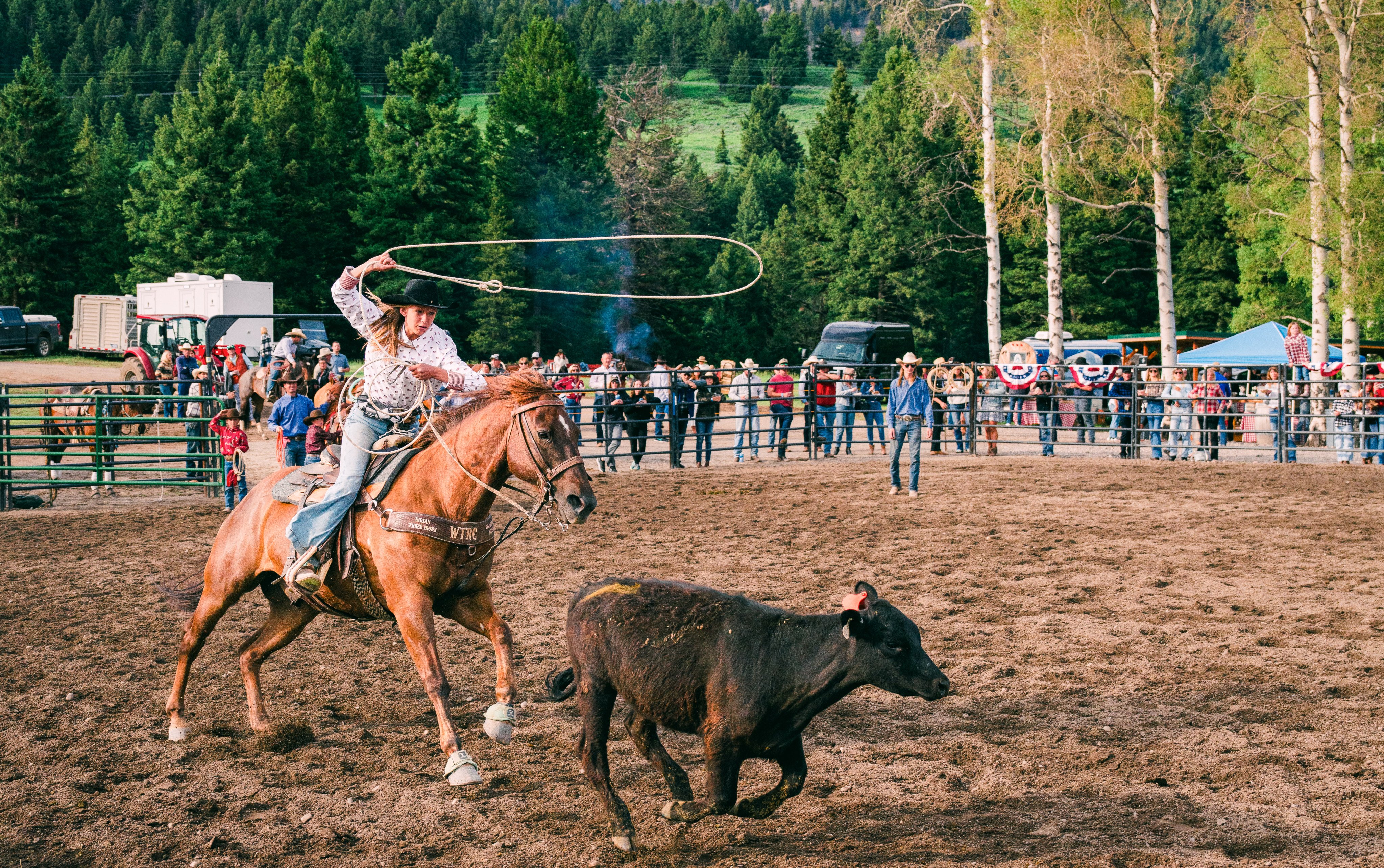 A rider competes in calf roping during a rodeo. Photo: Courtesy of Lone Mountain Ranch