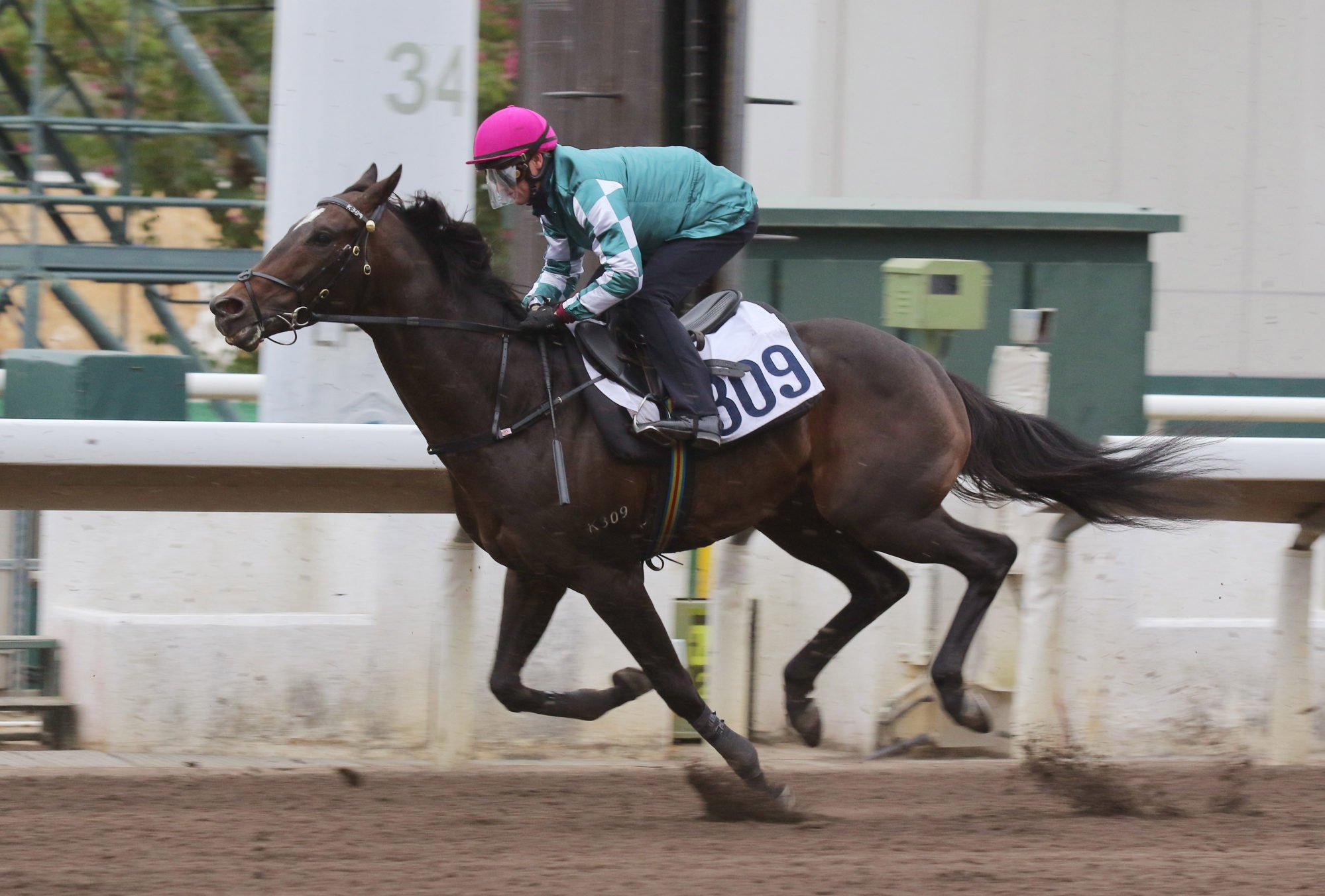 Ramadan works at Sha Tin earlier this month.