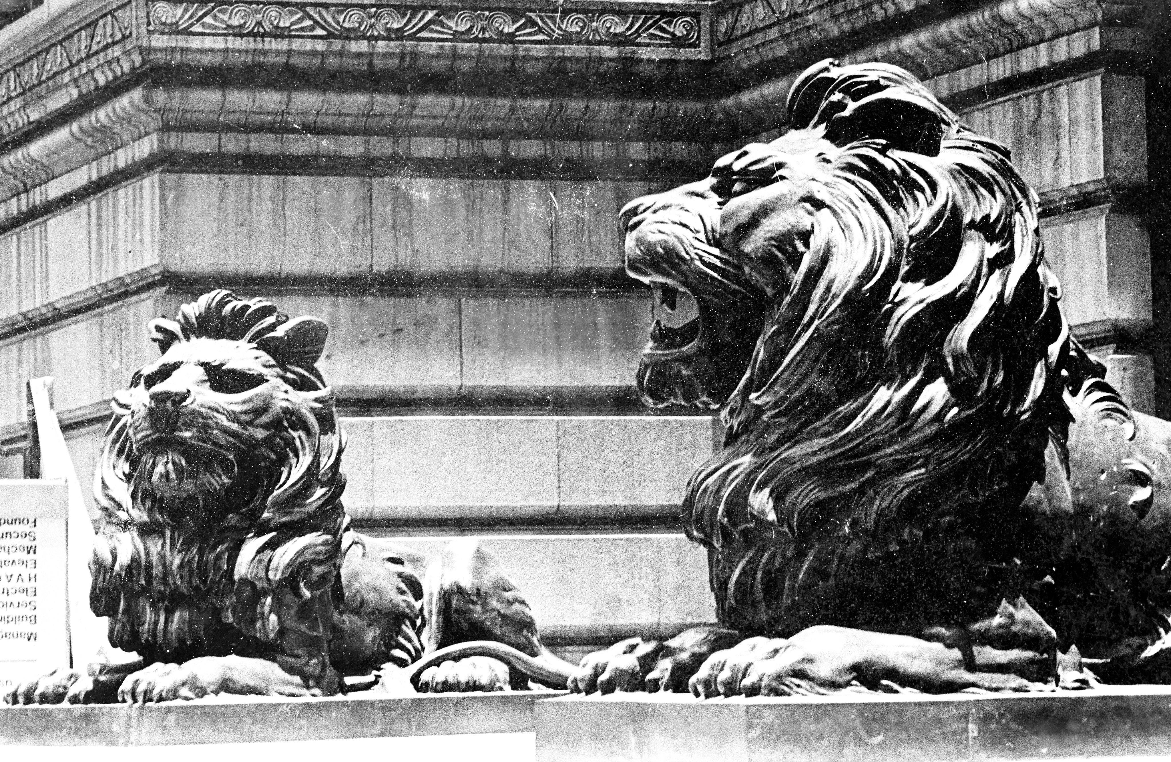 For decades, two bronze lions have stood guard at the main entrance to HSBC’s Hong Kong headquarters.