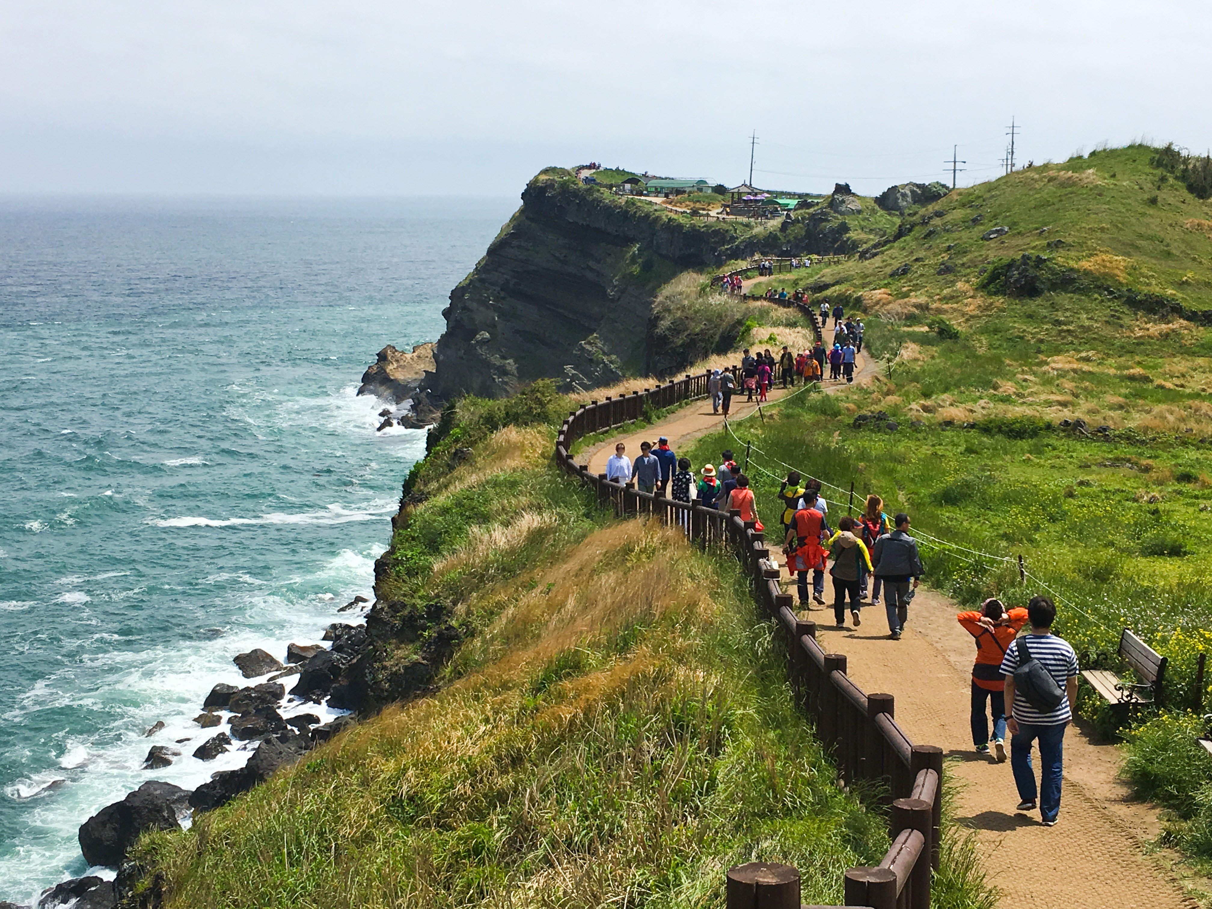 A walking trail on Jeju Island, South Korea. Photo: Shutterstock