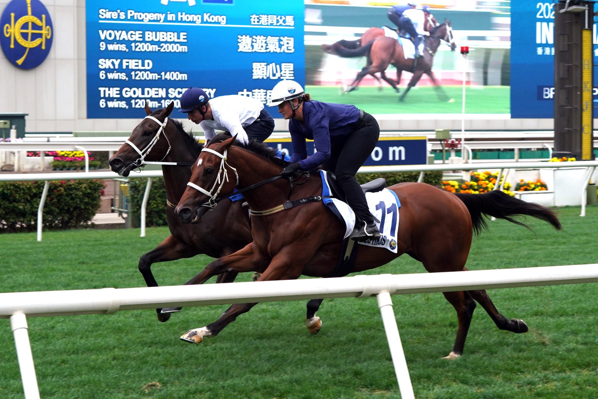 Lot 11 (outside) gallops at Sha Tin on Saturday morning. Photo: HKJC