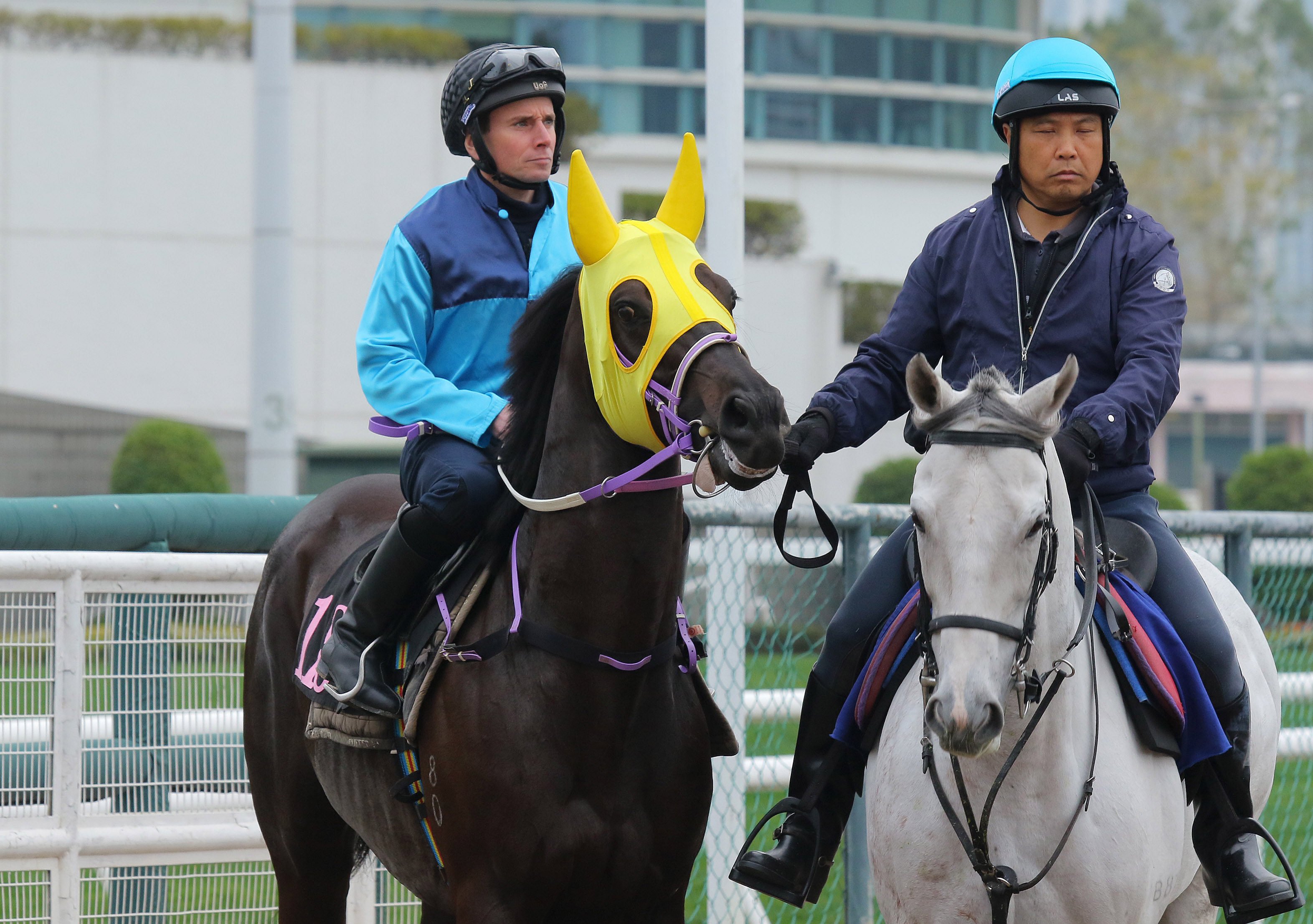 Ryan Moore heads out to trial Sunny Da Best at Sha Tin last week. Photos: Kenneth Chan