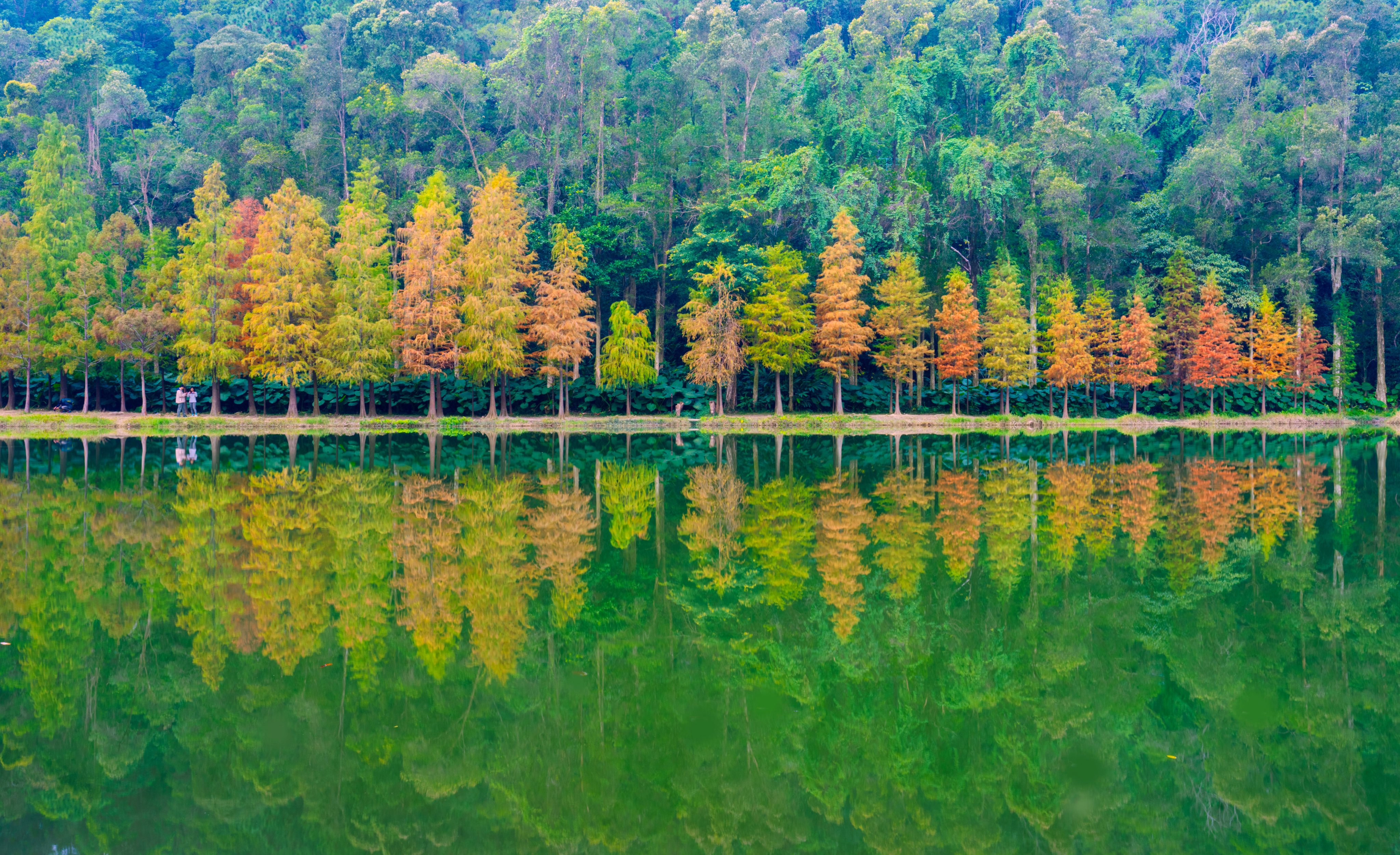 Hikers visit Lau Shui Heung reservoir at Sha Tau Kok on December 26, 2024. Photo: Sam Tsang