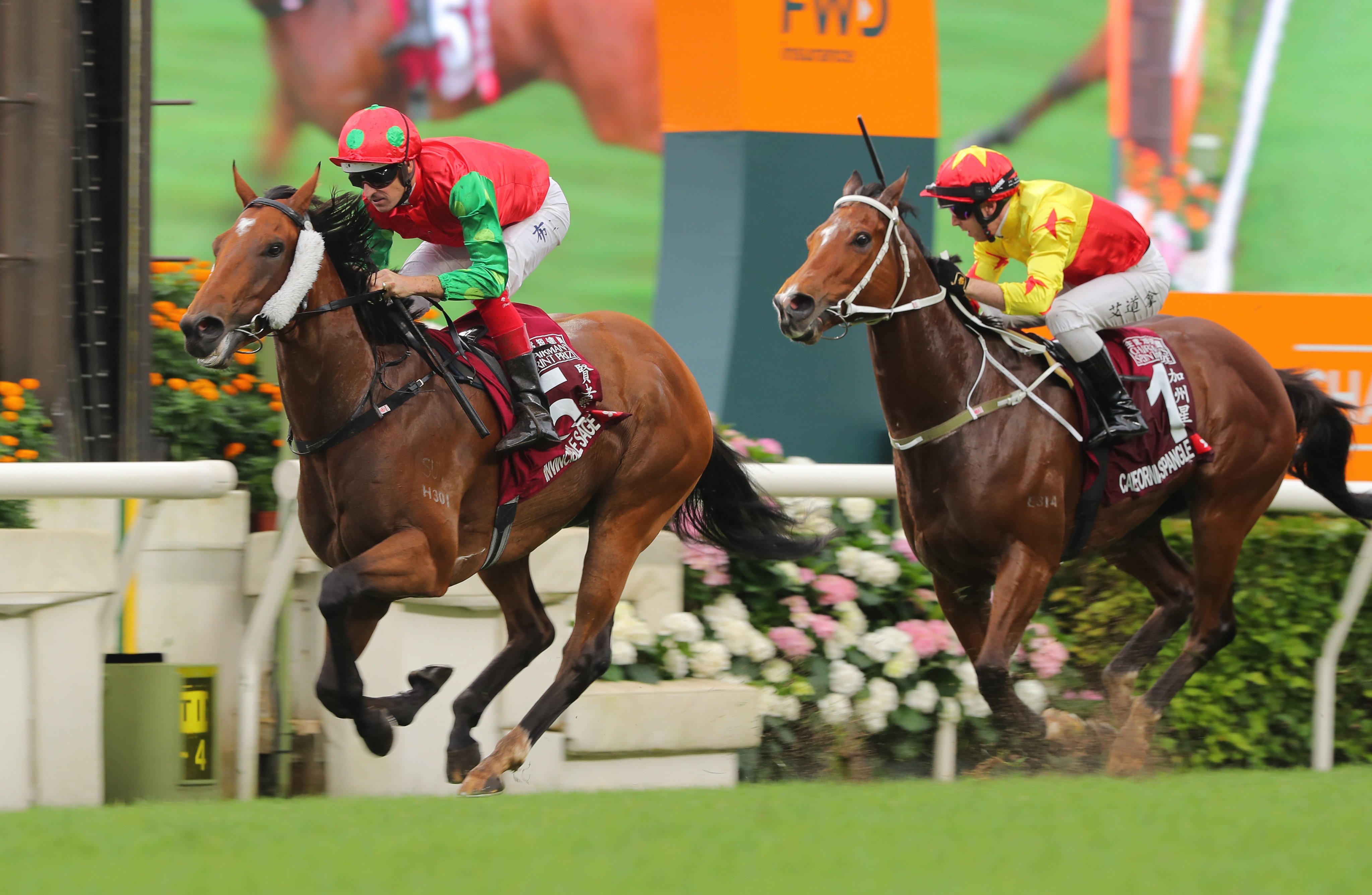 Invincible Sage wins last year’s Group One Chairman’s Sprint Prize (1,200m). Photos: Kenneth Chan