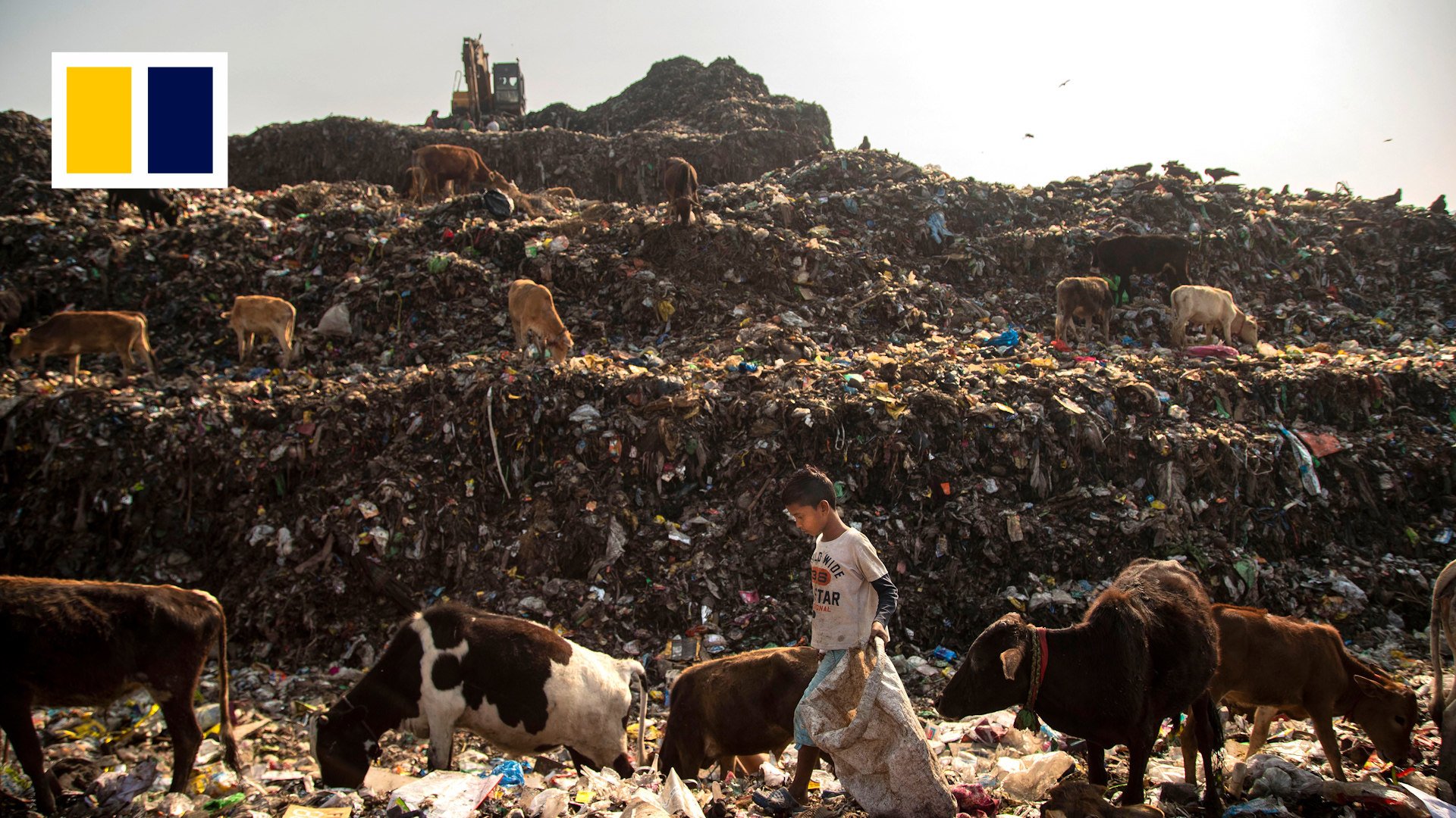 New Delhi vows to flatten monster garbage pile.