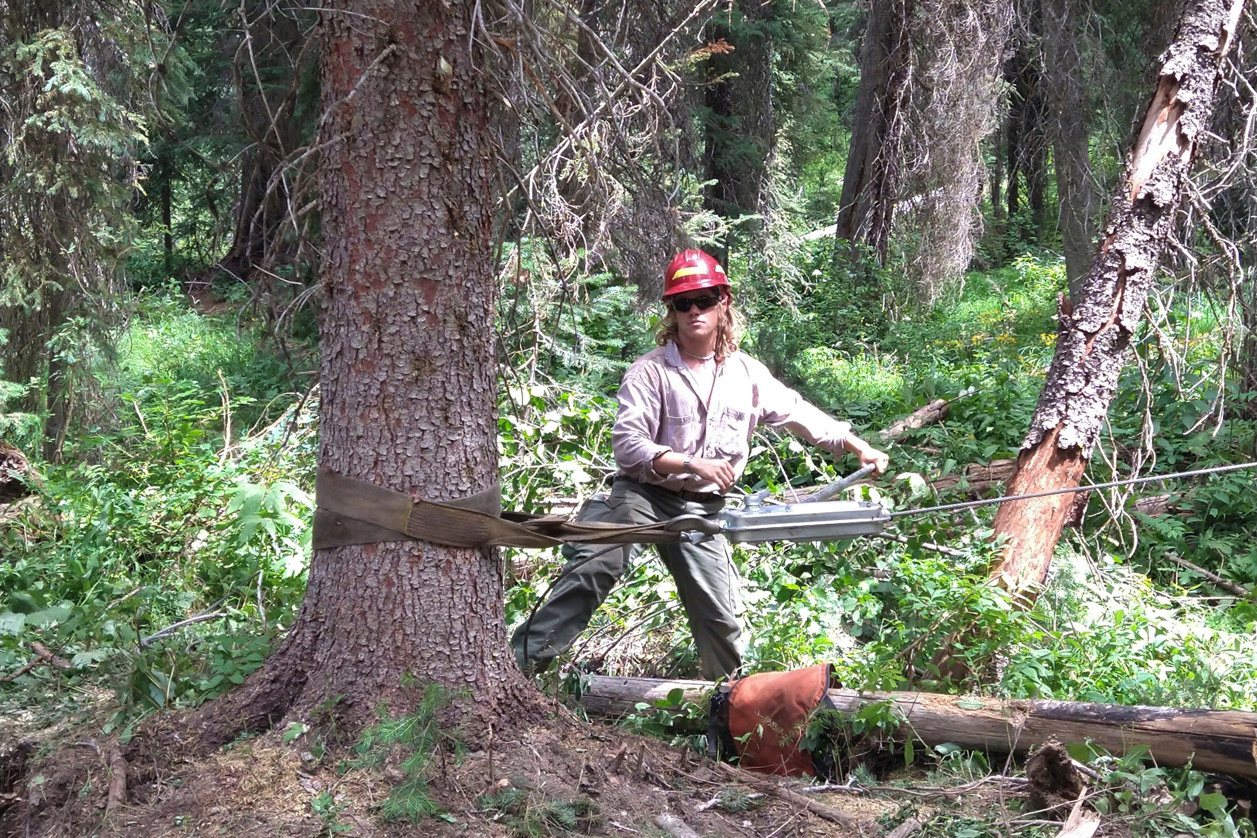 Luke Tobin works as a forestry technician in the Nez Perce National Forest in Idaho in 2022. Photo: AP
