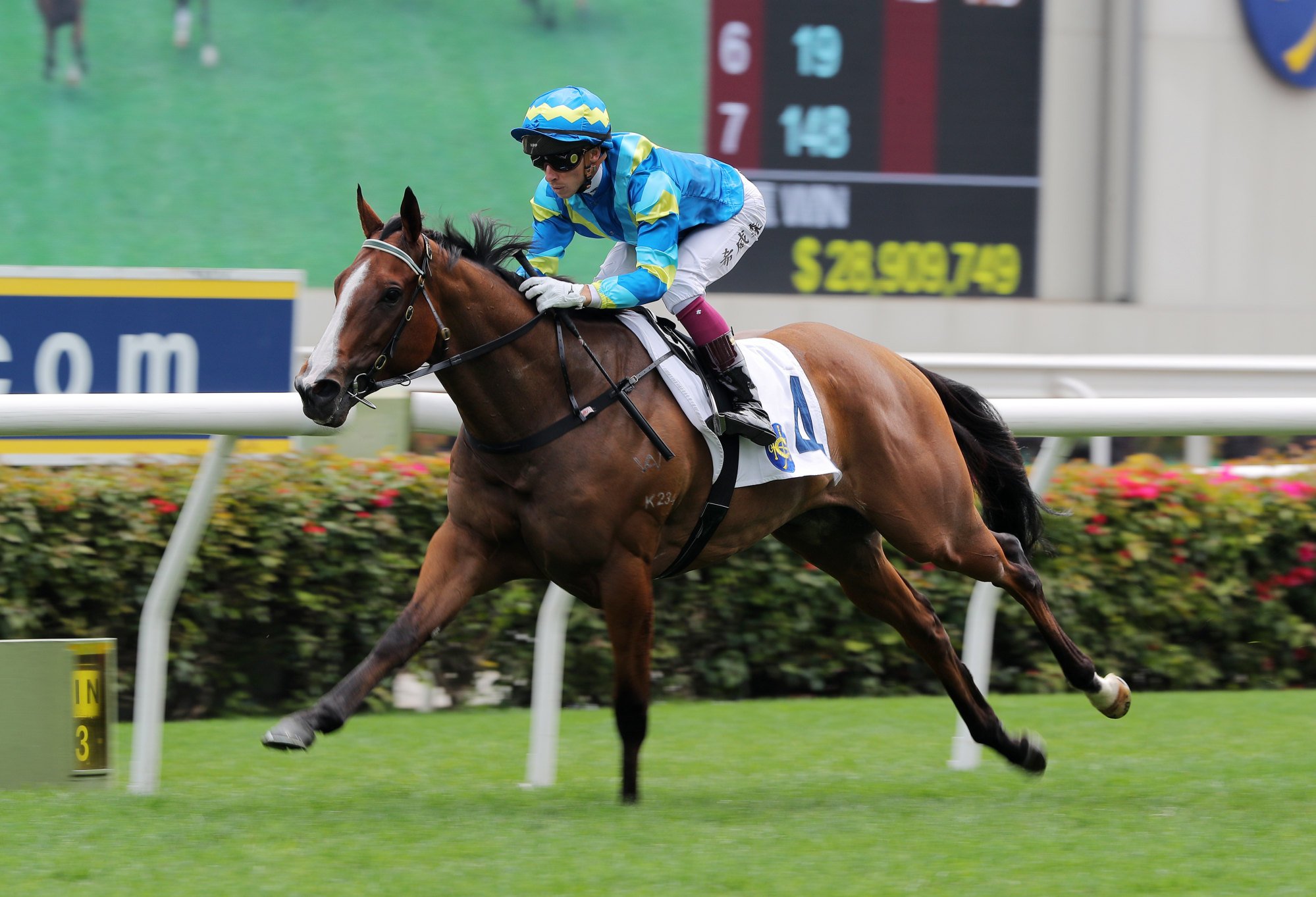 Lyle Hewitson guides Akashvani to victory.