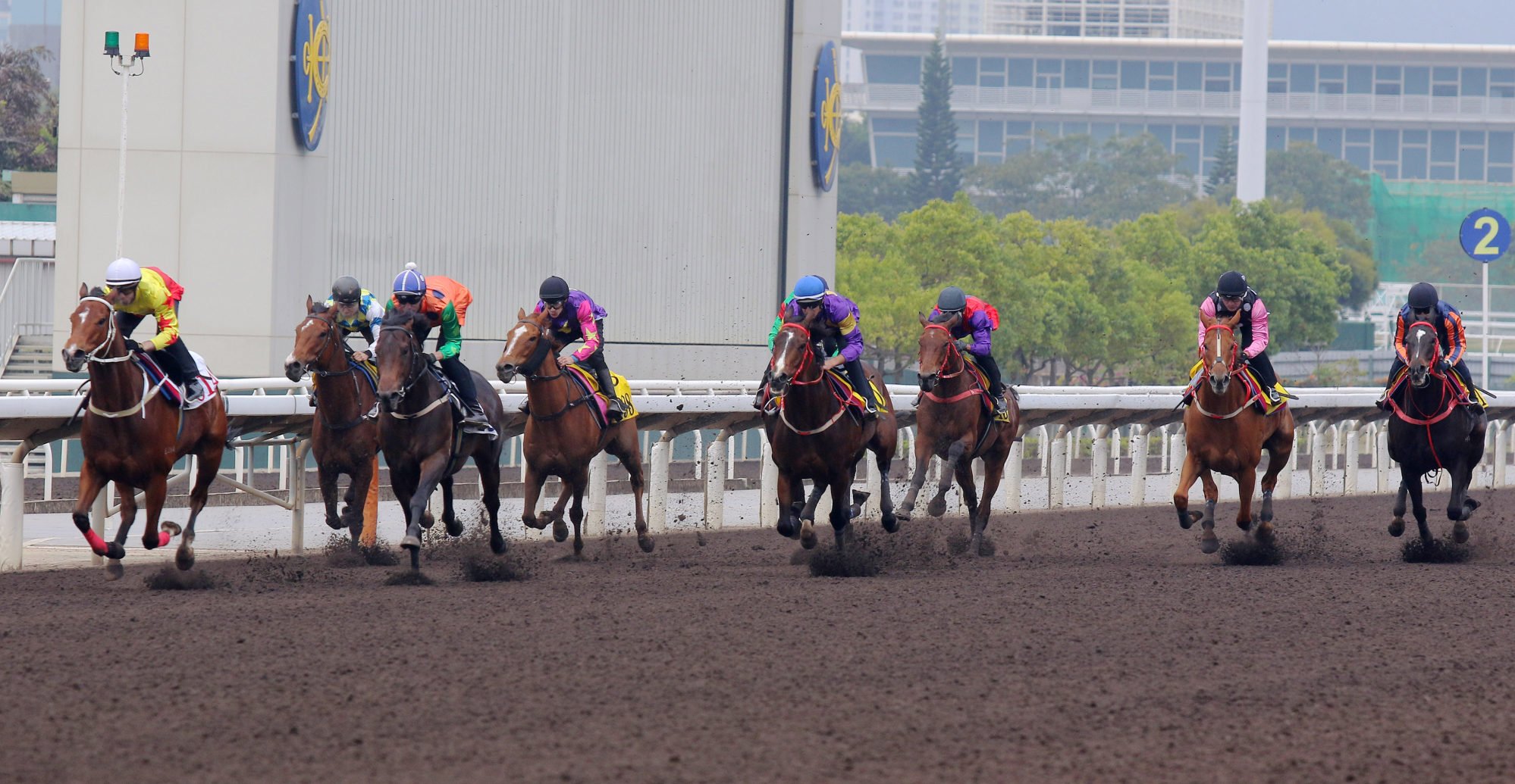 California Spangle (left) clears out from his rivals in Tuesday’s trial.