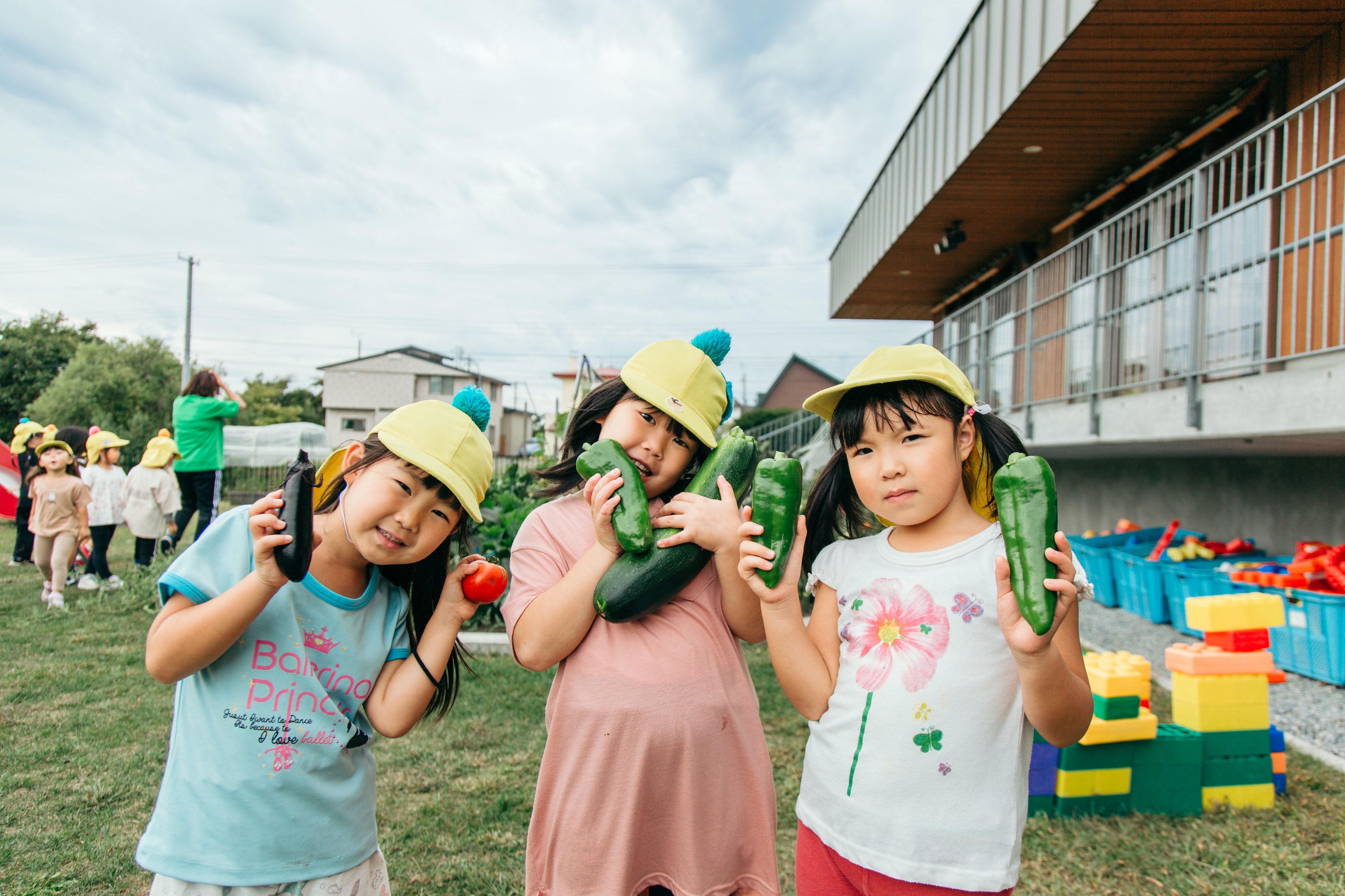 Vegetable harvesting is one of the activities that children may participate in as part of the Japanese Preschool Exchange programme. Photo: Japanese Preschool Exchange