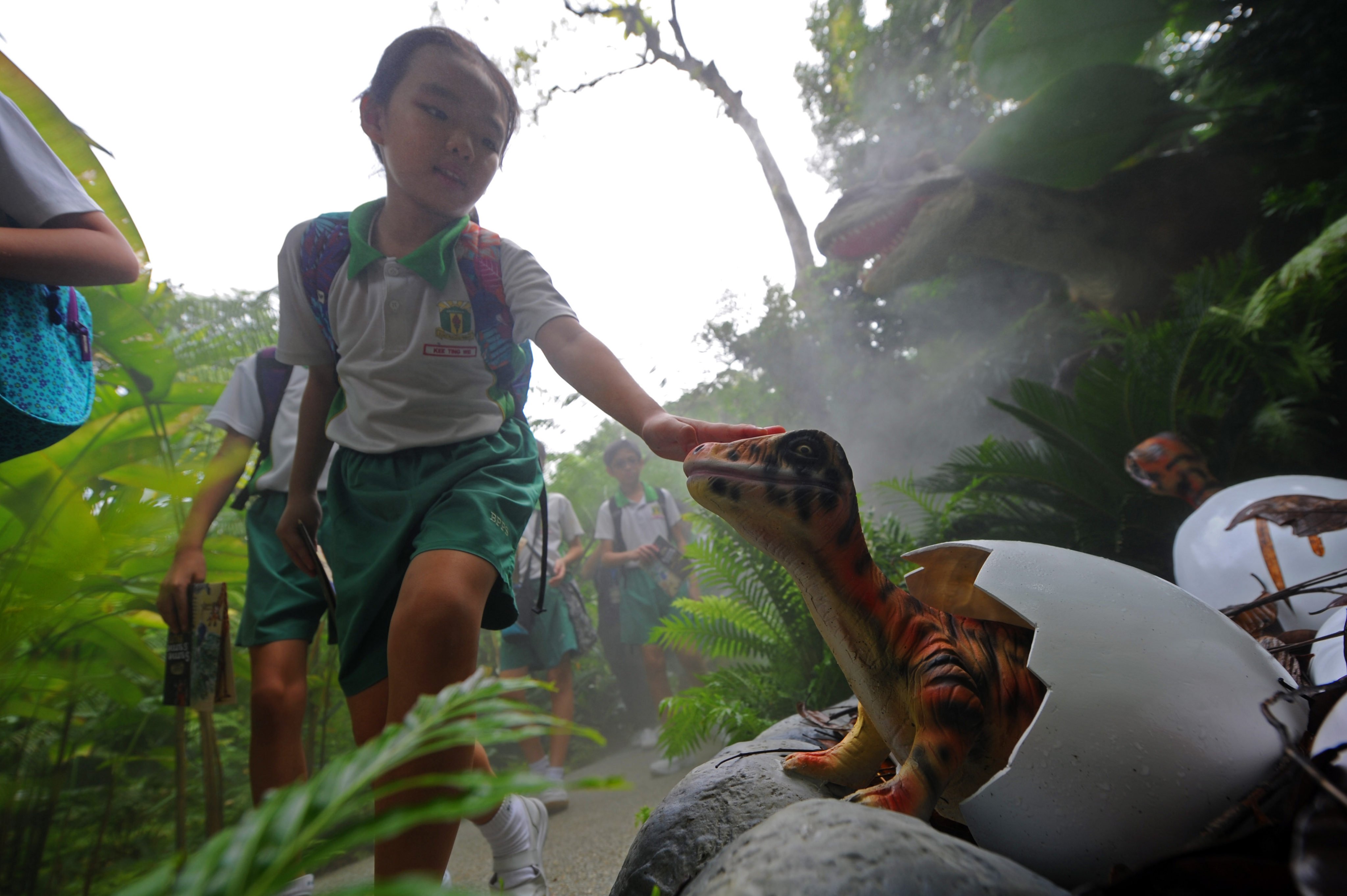 A girl touches a dinosaur model in the Singapore Zoo in 2016. Unlike the high-pressure environment in China, Singapore encourages children to explore their interests yet maintains high standards. Photo: Xinhua