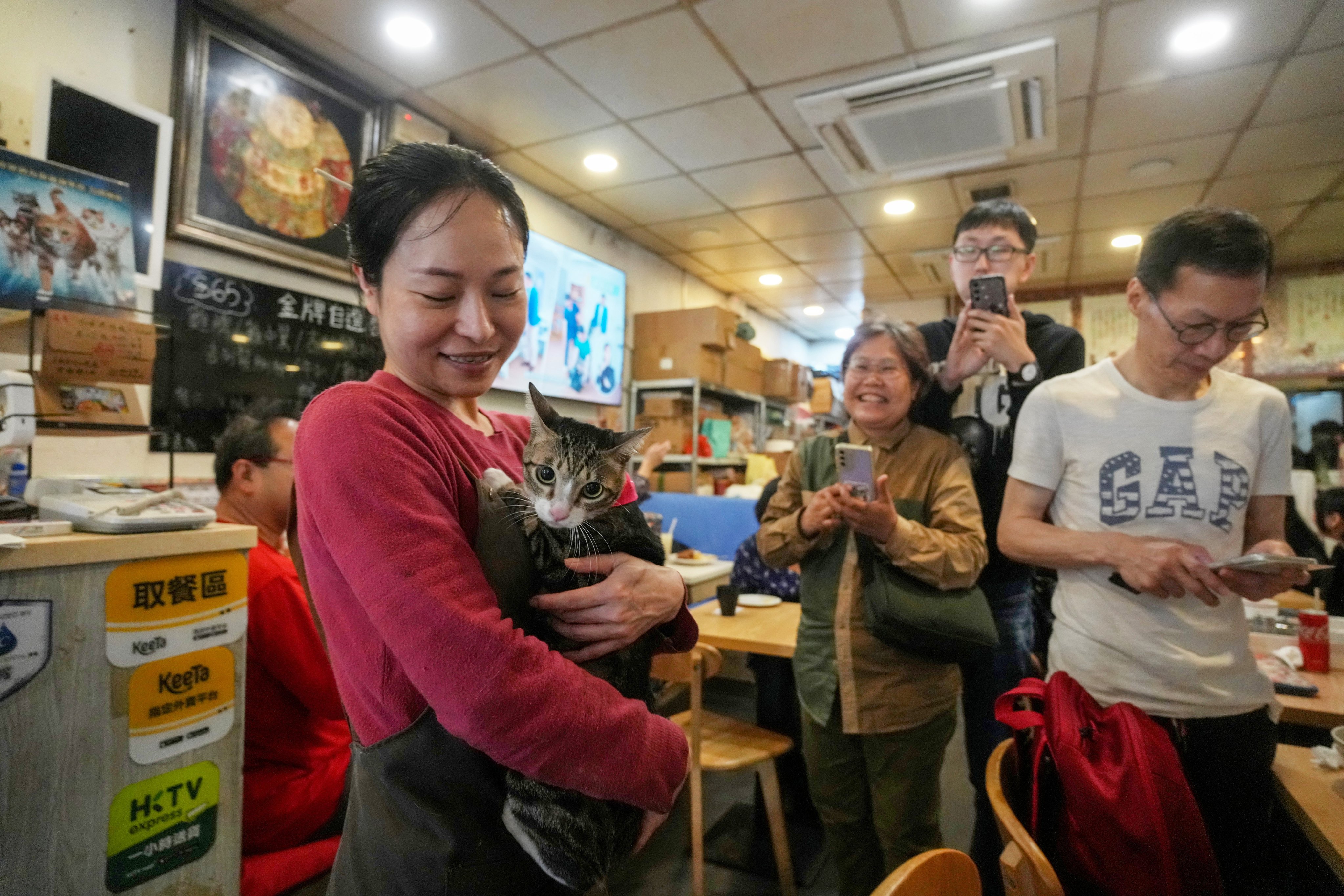 Siu Lam-lam, the owner of Dundas Cafe in Mong Kok, with one of her feline friends. Photo: Sam Tsang