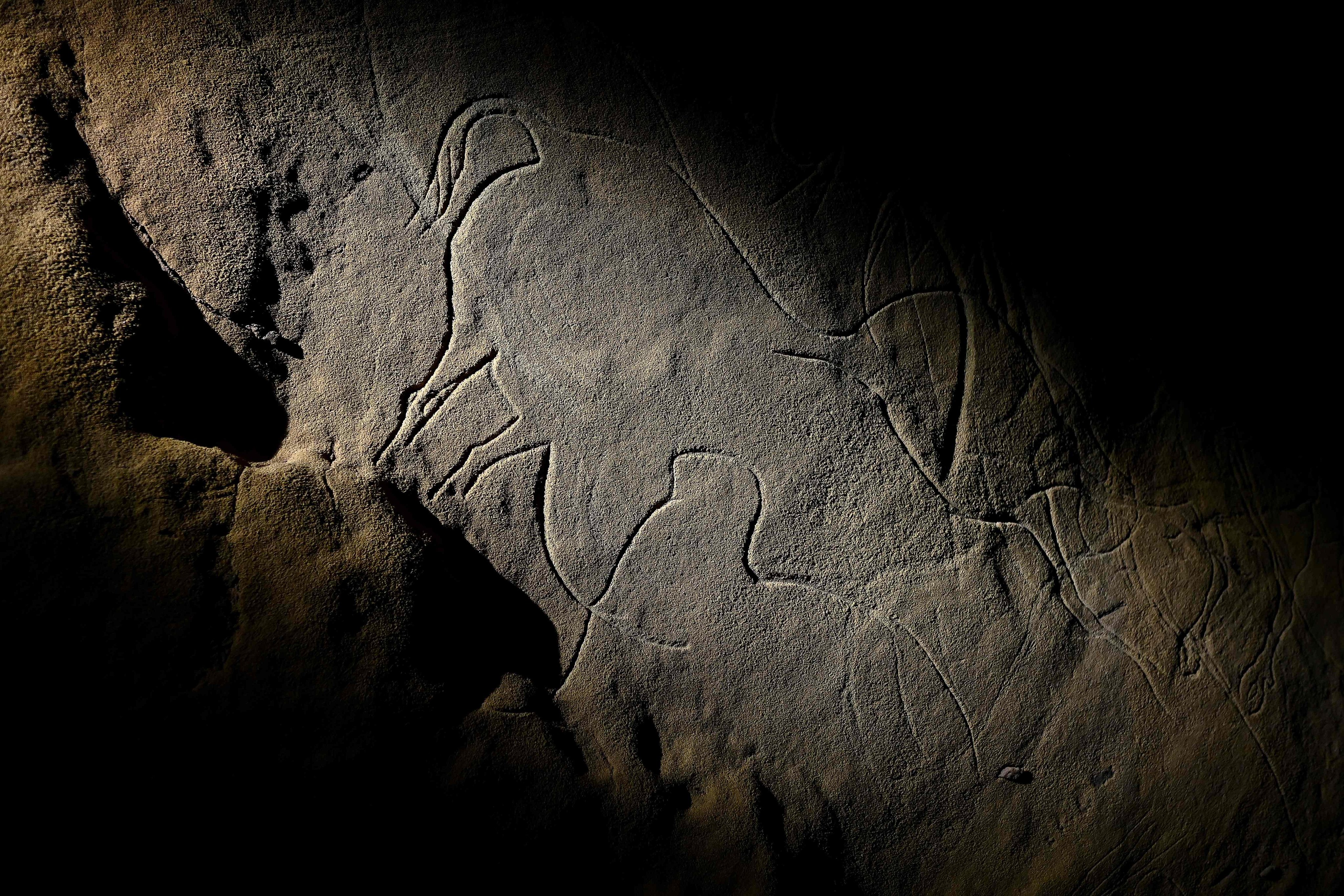 An ancient engraving in Cussac cave, France. Photo: AFP