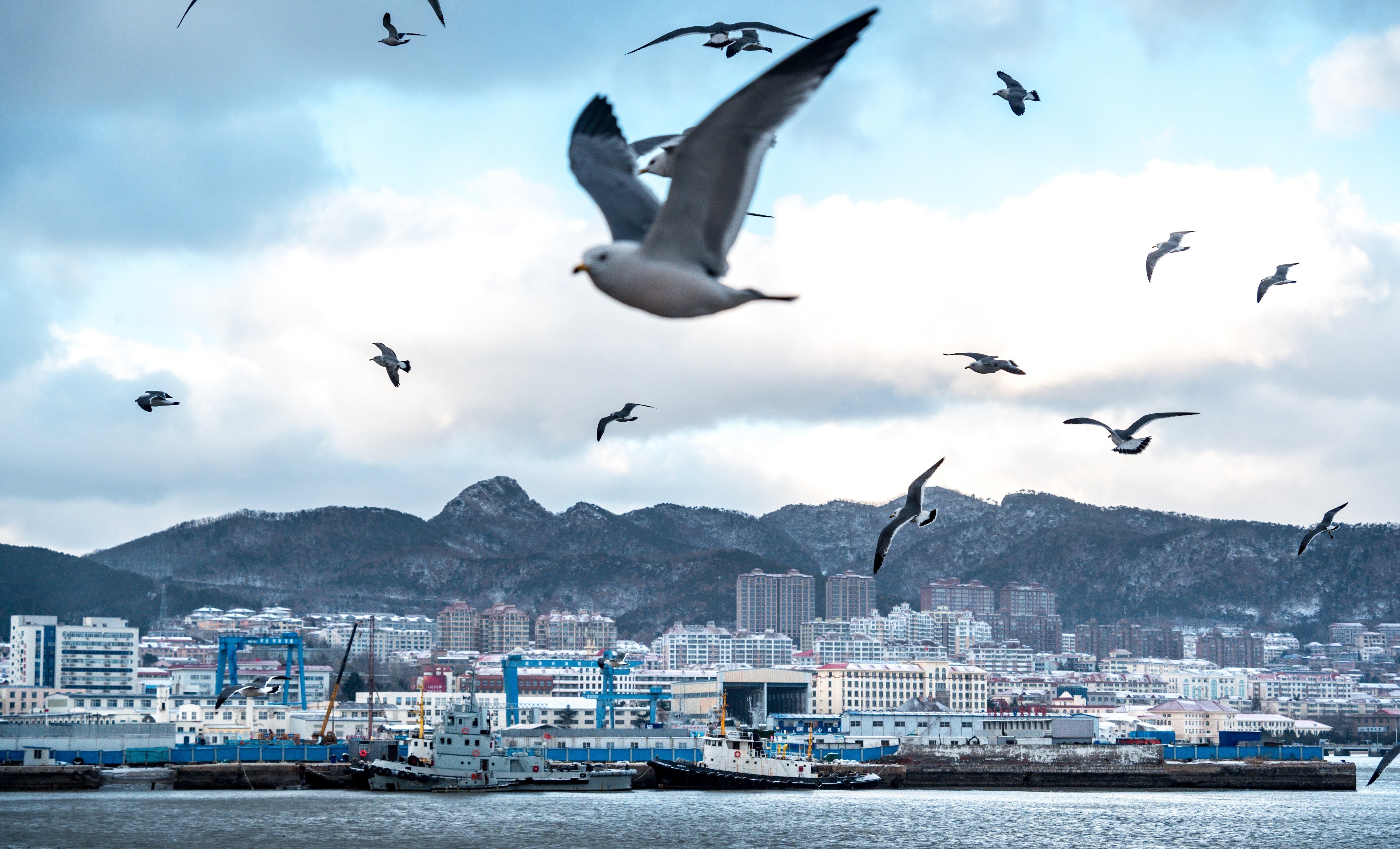 Authorities in the Chinese city of Weihai, pictured here, say a suspect in the high-seas death of a boat captain has been “controlled”, and the vessel is returning to port. Photo: Shutterstock