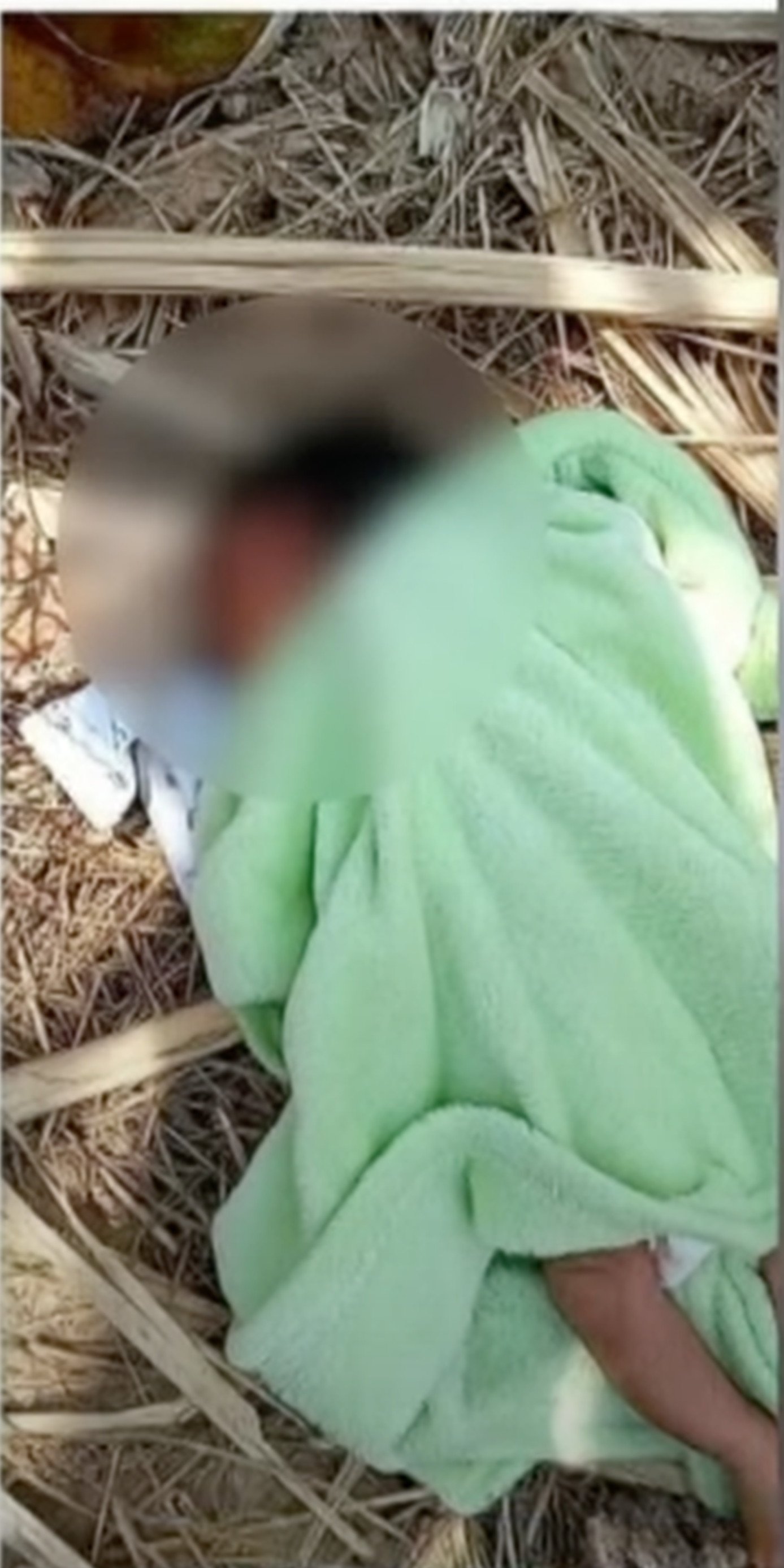 The father took his baby to a banana grove and took a photo which he sent to his wife as a threat. Photo: YouTube