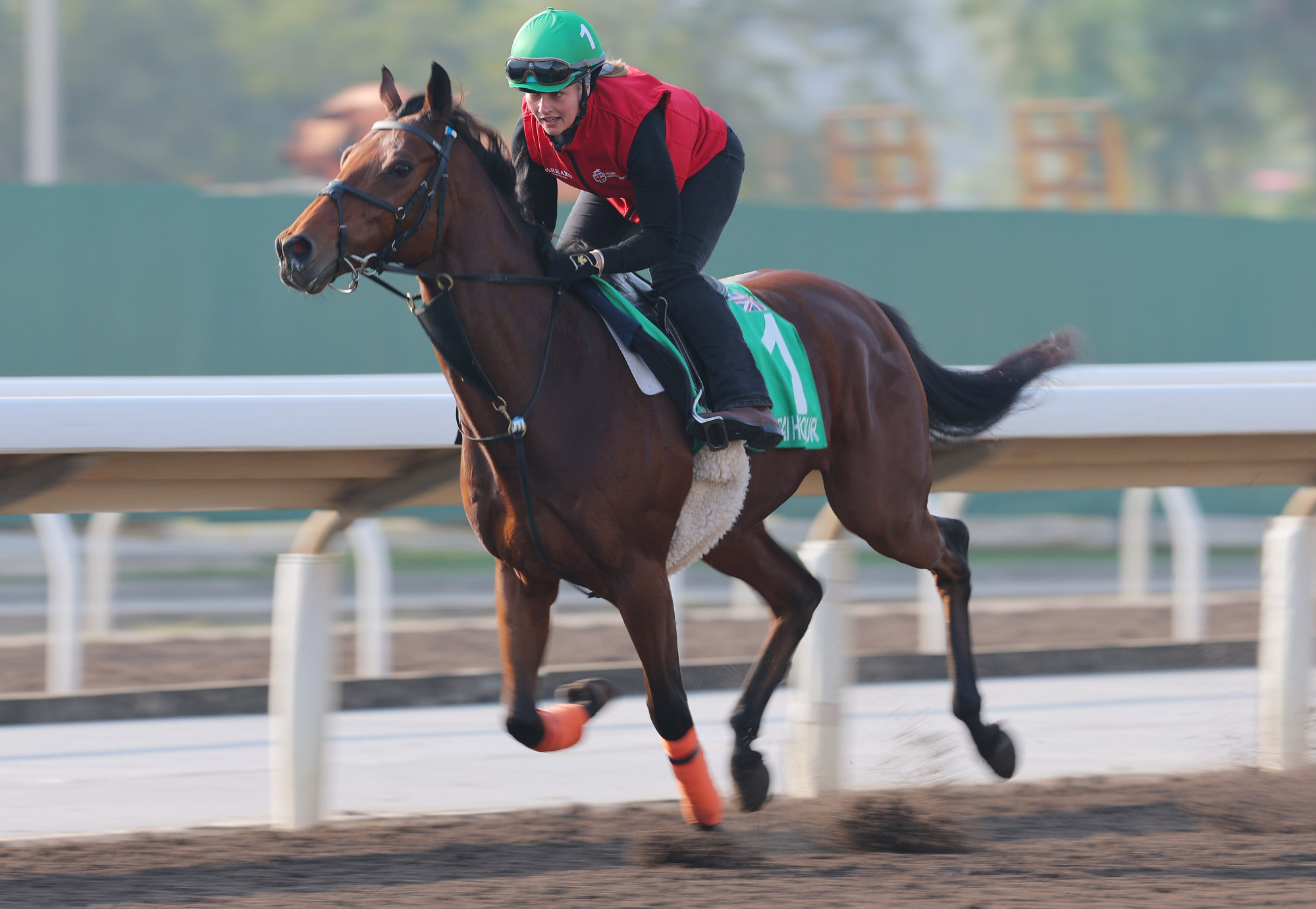Dubai Honour gallops on the Sha Tin dirt in December.