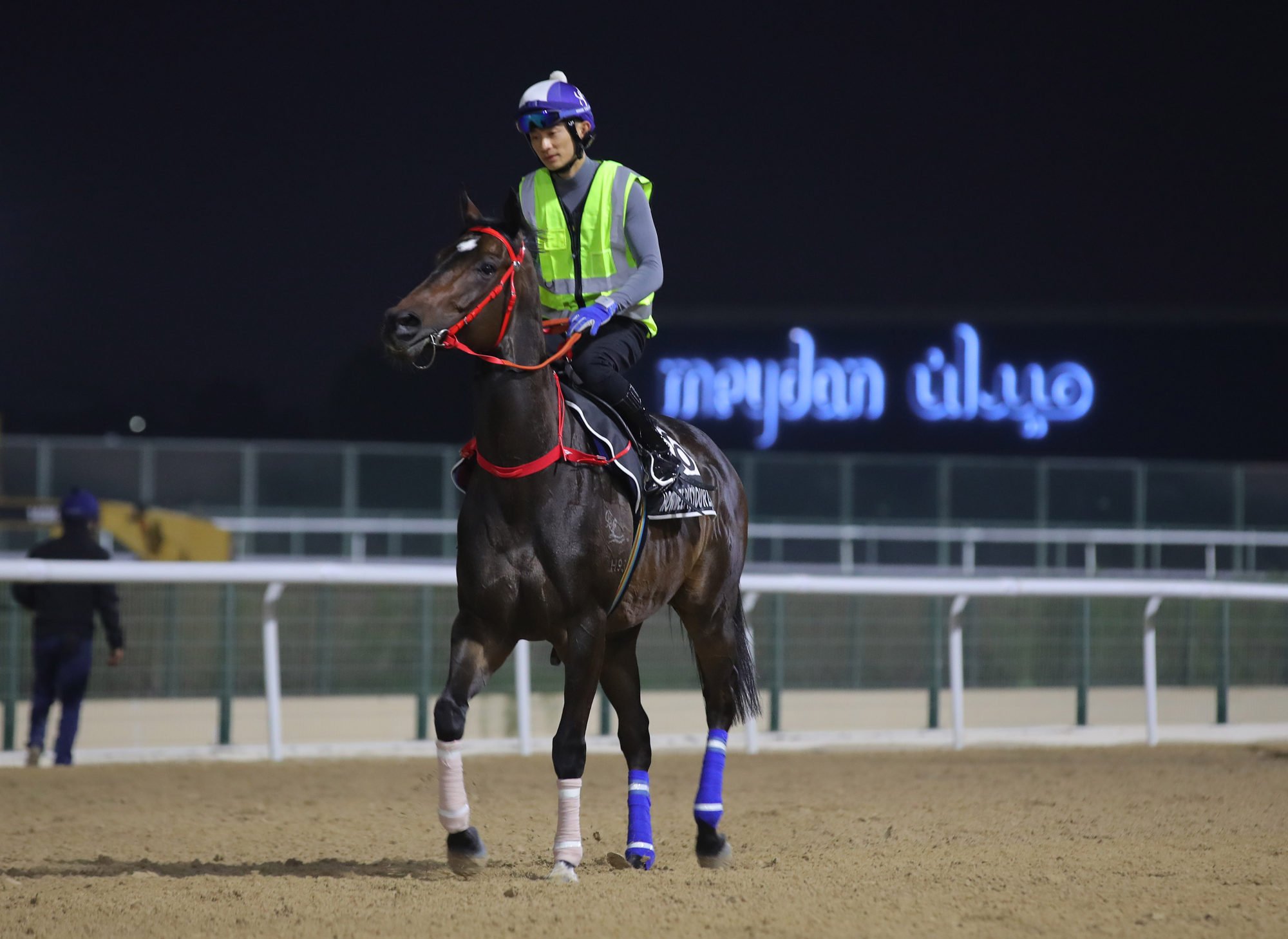 Howdeepisyourlove heads out to gallop at Meydan on Wednesday.