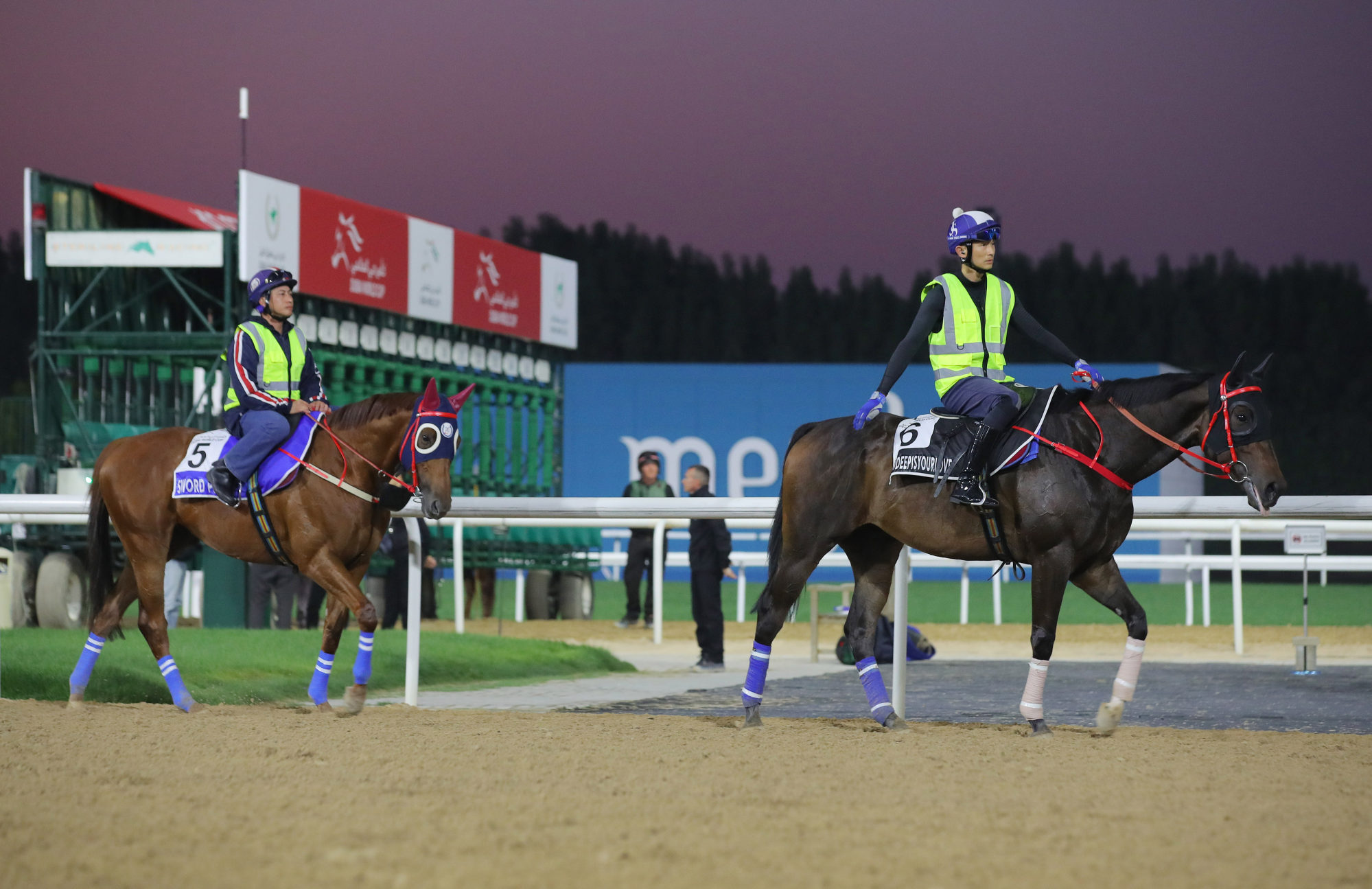 Howdeepisyourlove (right) and Sword Point cool off after being put through their paces on Friday morning.