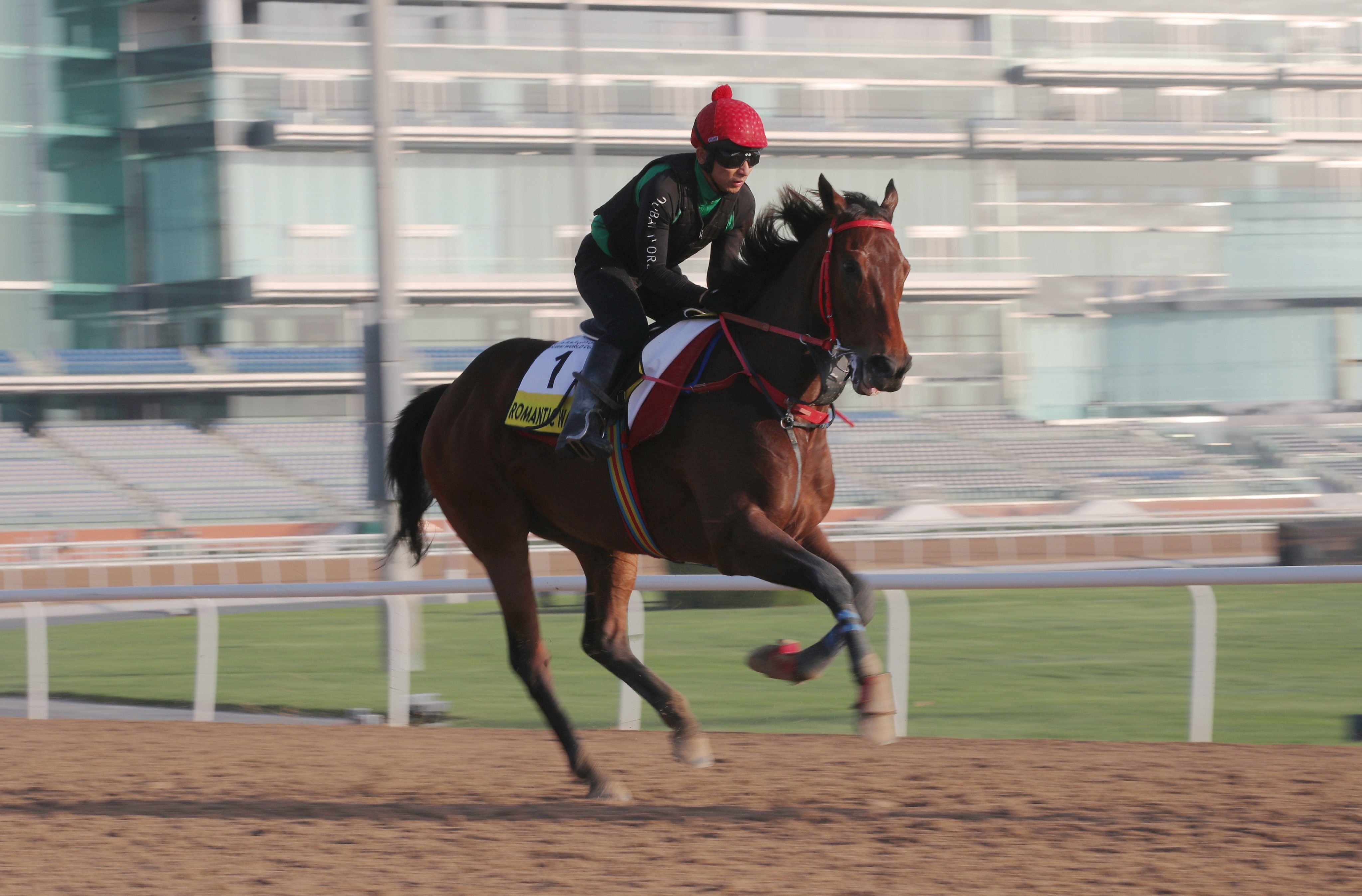 Romantic Warrior works at Meydan on Friday morning. Photos: Kenneth Chan