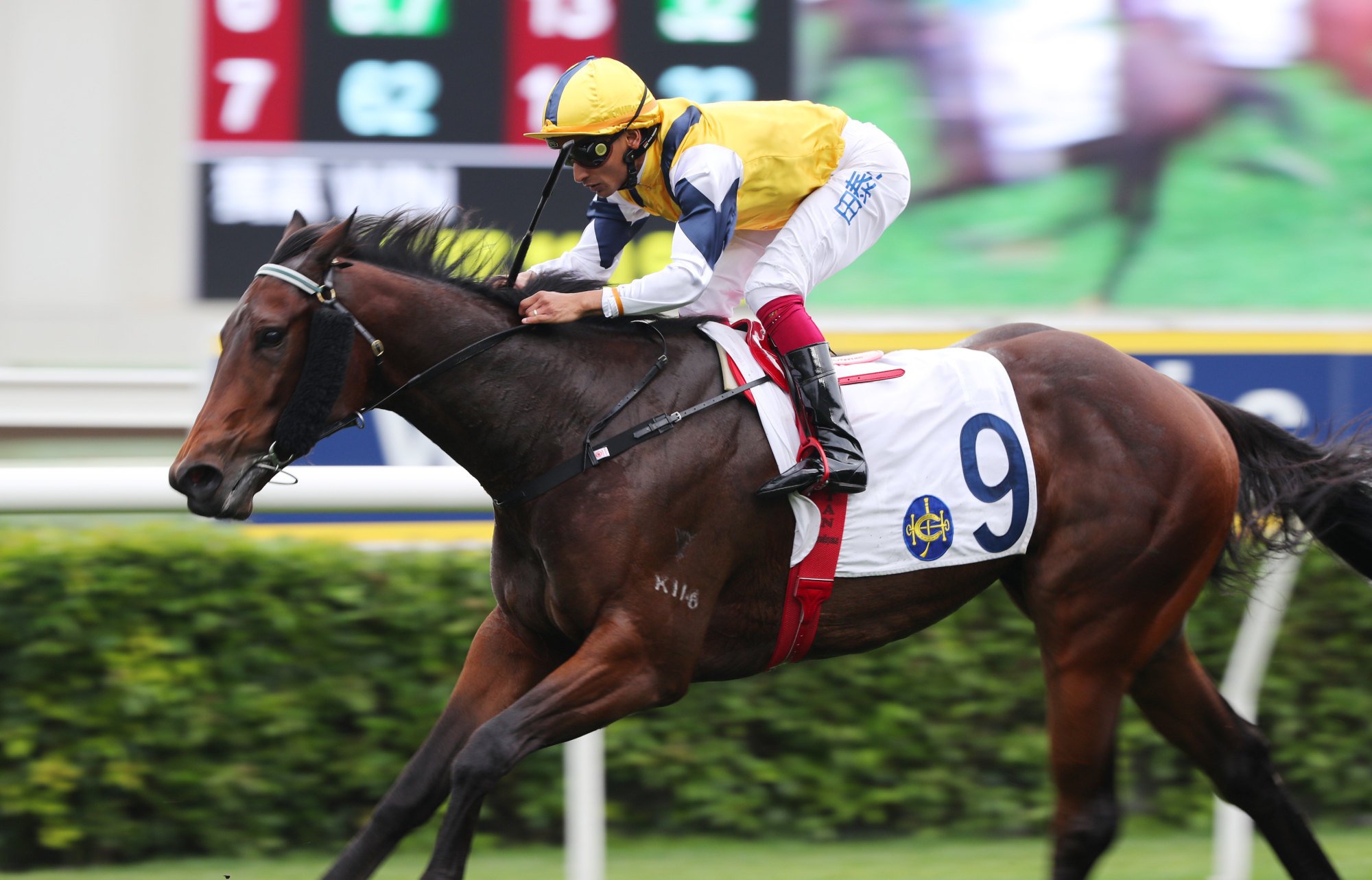 Karis Teetan boots home Top Throne.