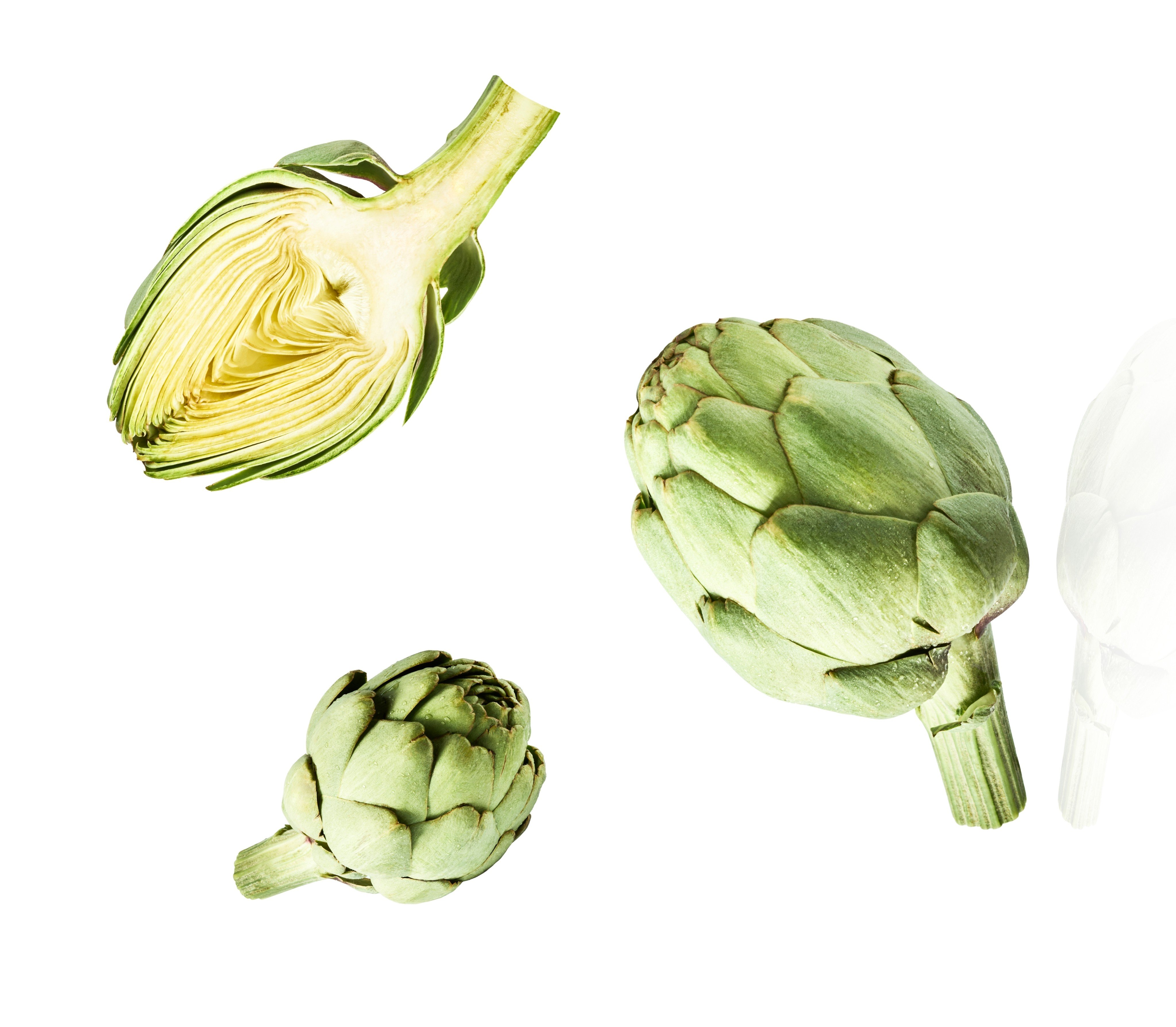 The artichoke is not strictly a vegetable but a flower, originating in the Mediterranean. Once prepared, it can be steamed, pan-fried, deep-fried or even eaten raw. Photo: Shutterstock