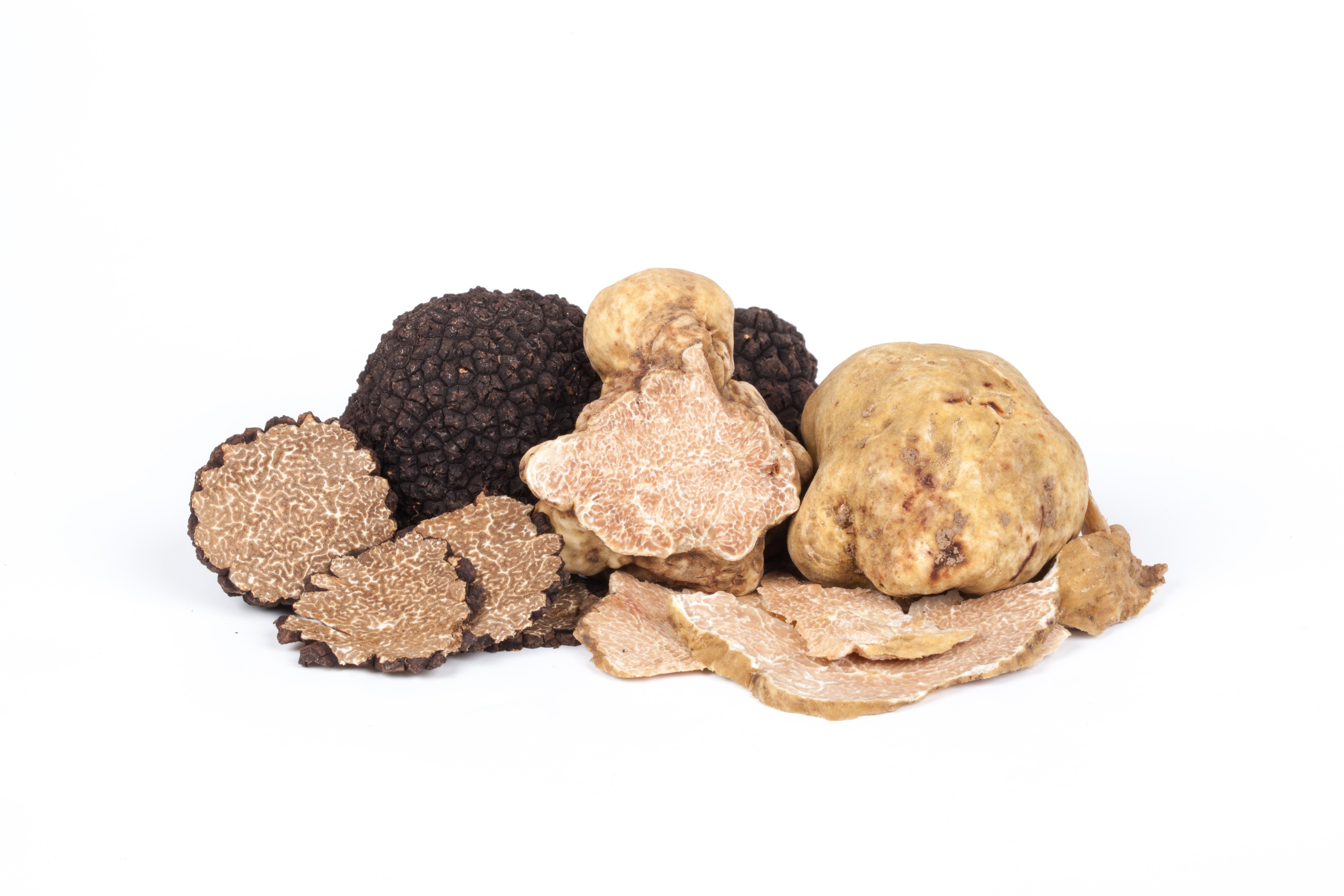 For centuries, truffles have been prized as a culinary delicacy. Now, their skincare properties are also being appreciated. Photo: Shutterstock