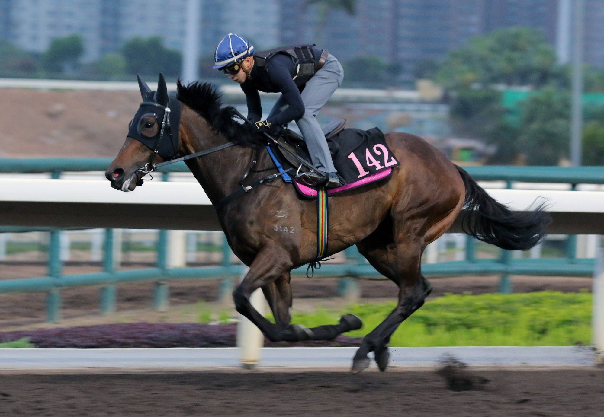 Divano gallops on the dirt.