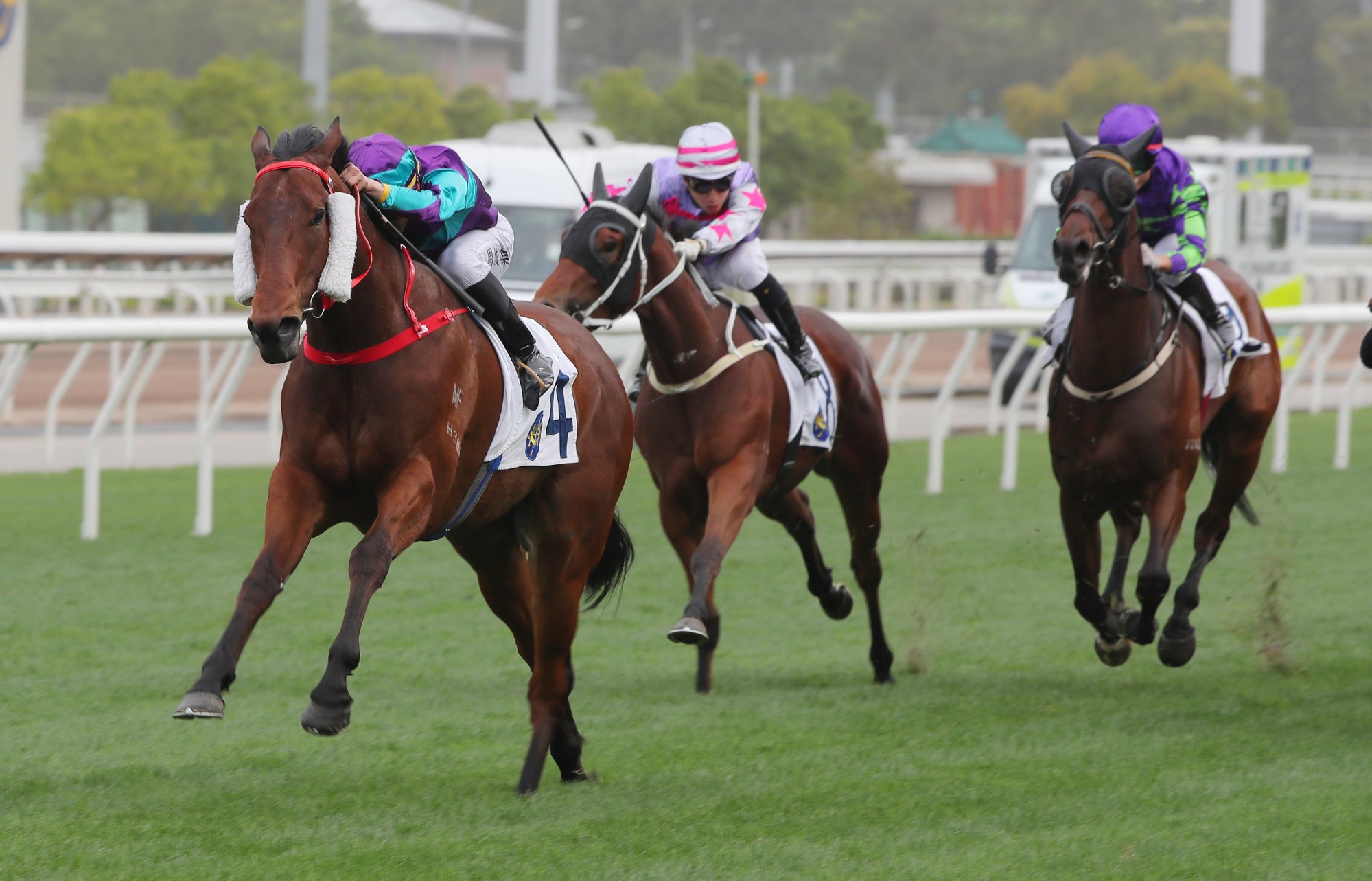 Jerry Chau boots home Dream Winner.