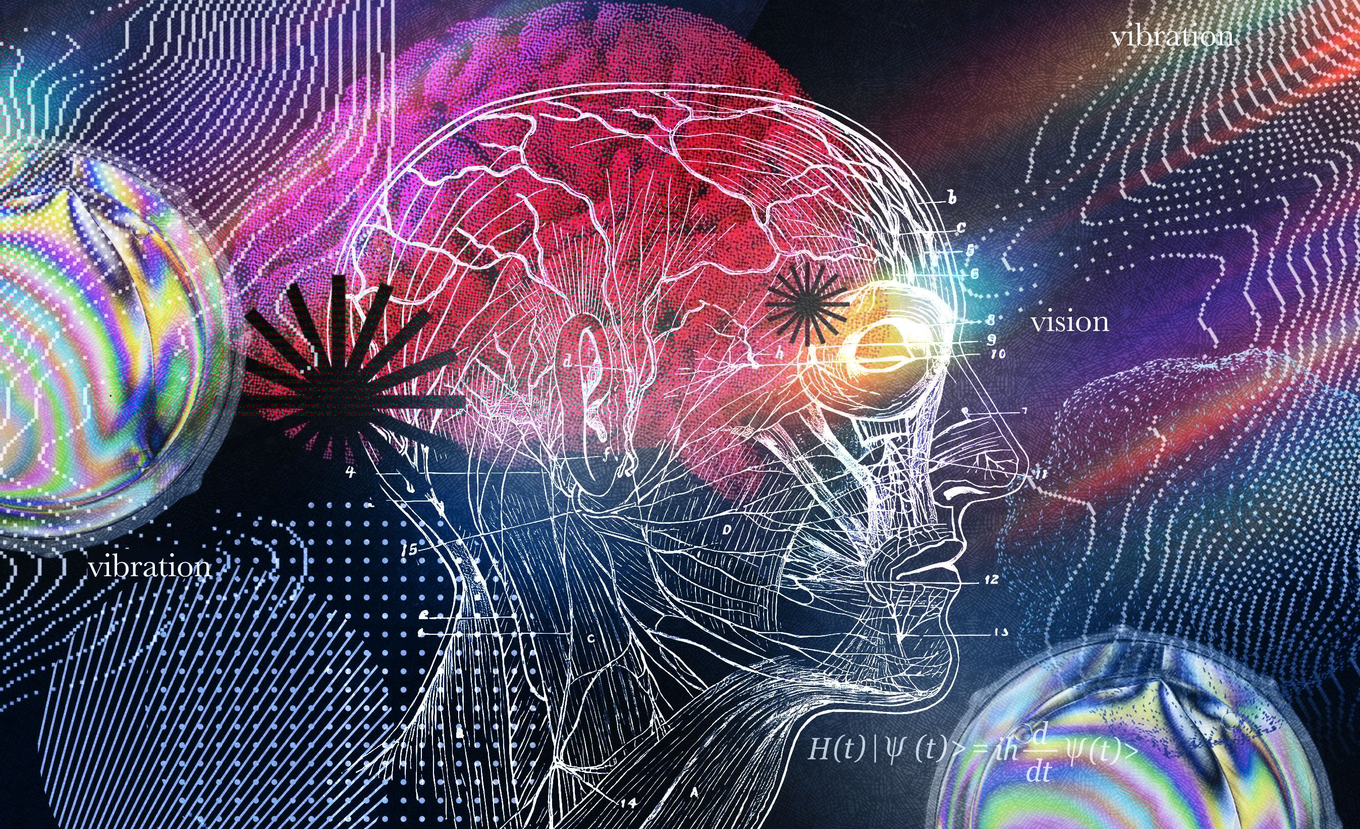 Illustration: Brian Wang
