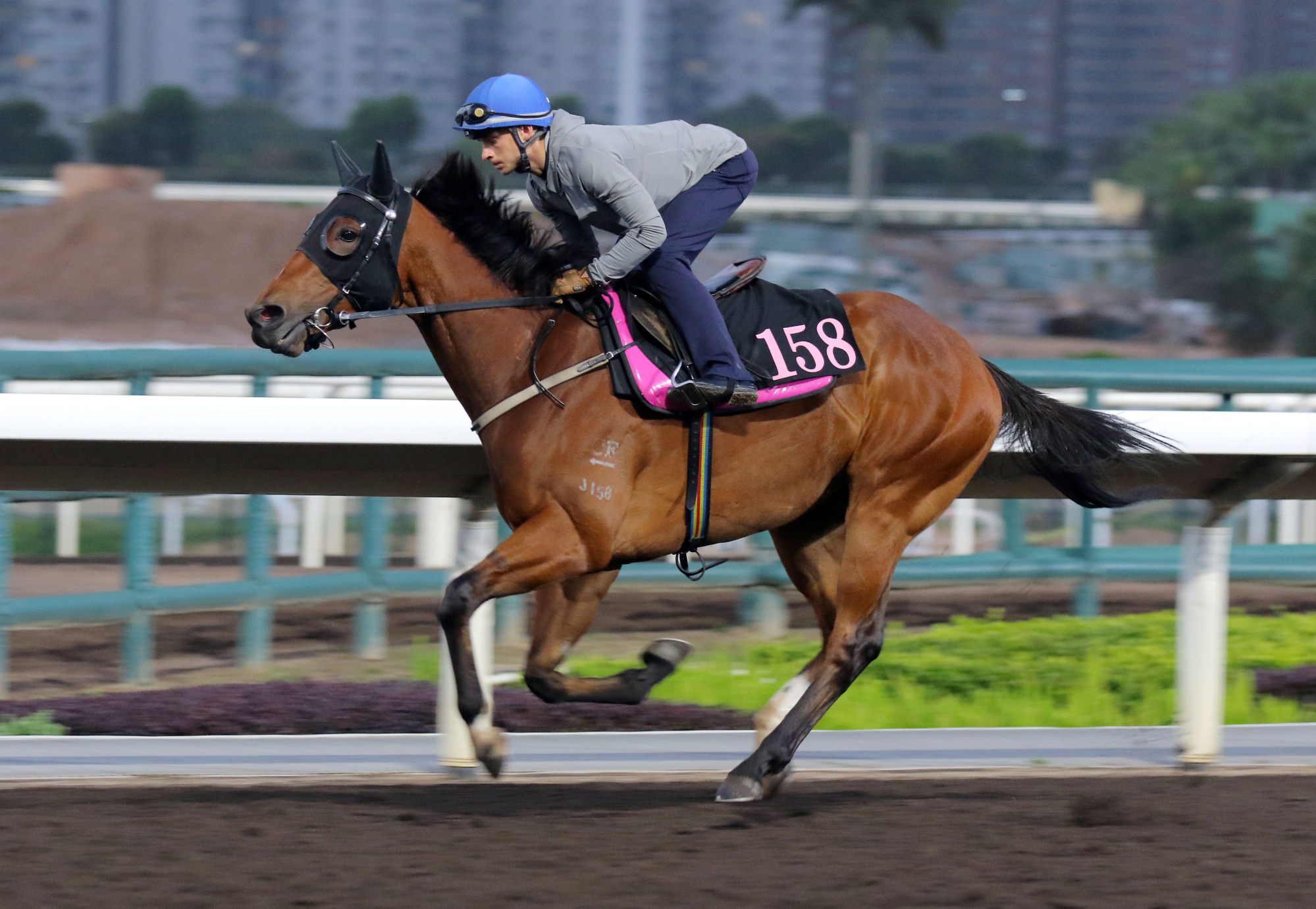 King Miles gallops on the dirt.