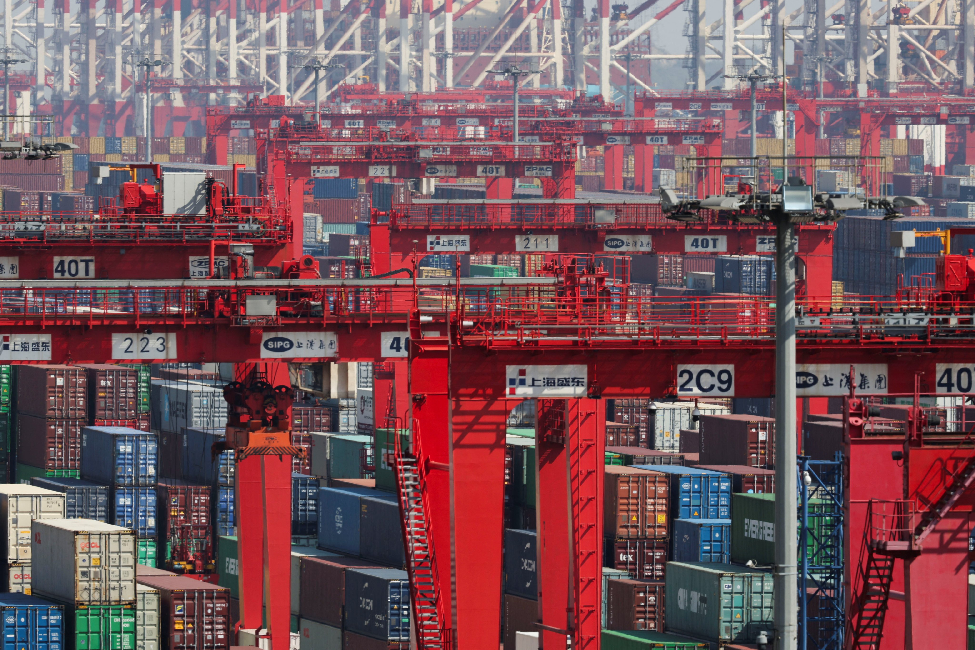 Gantry cranes and shipping containers at Yangshan Port, near Shanghai. Photo: Reuters