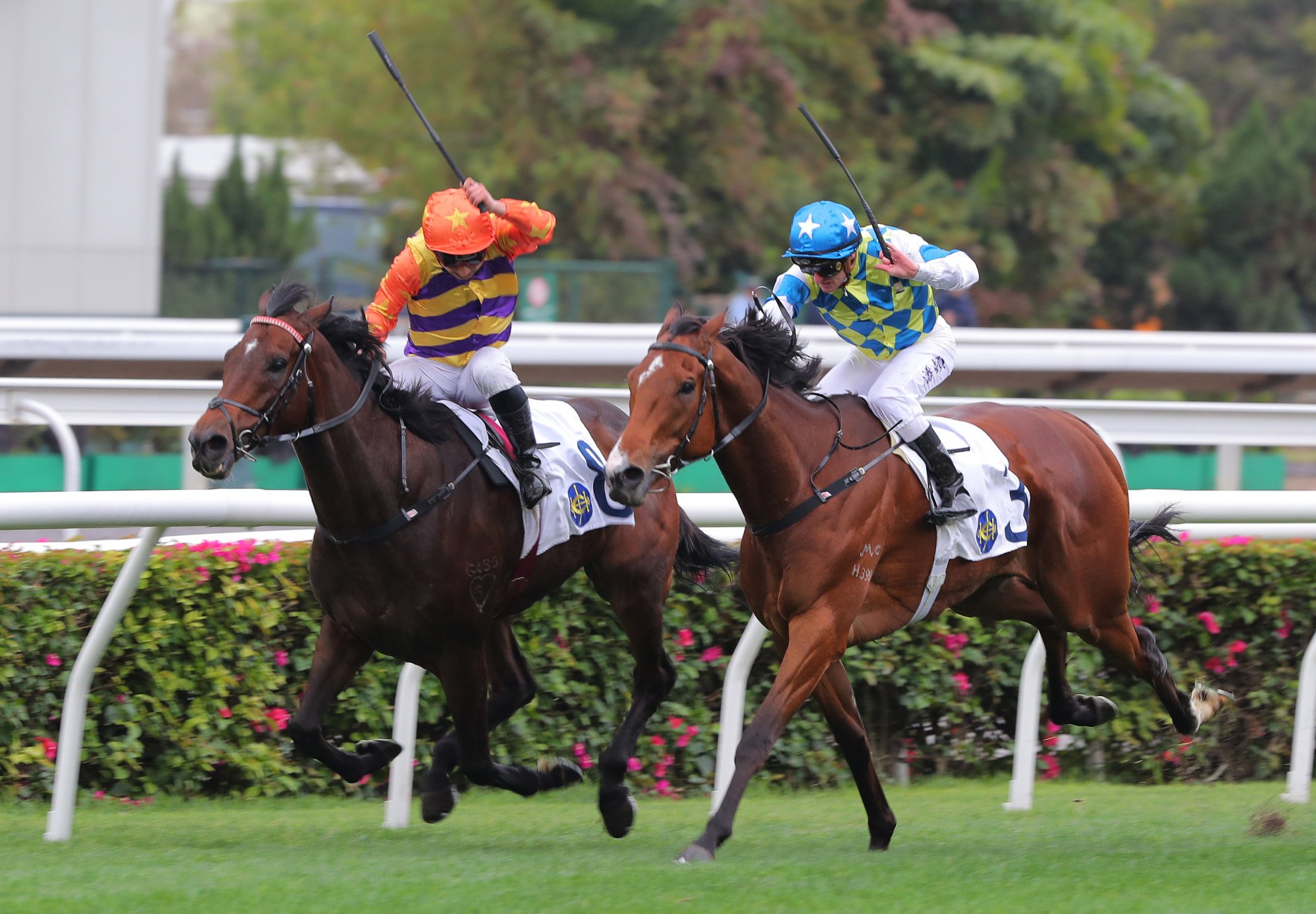 Galaxy Patch (outside) runs a close second to Straight Arron last start.