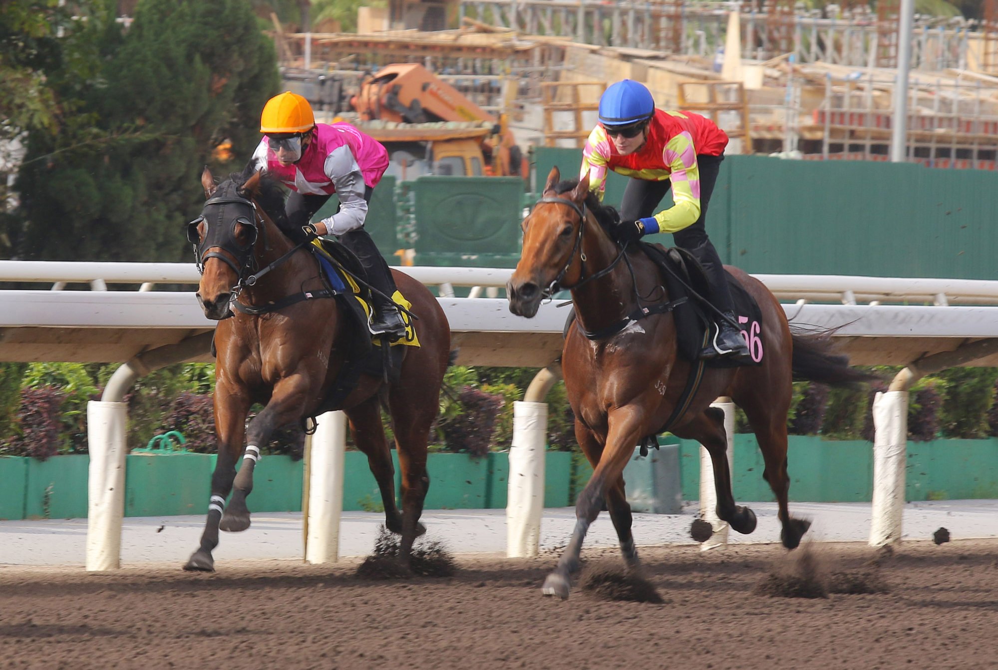 My Wish (outside) and Swift Ascend in action in Thursday’s trial.