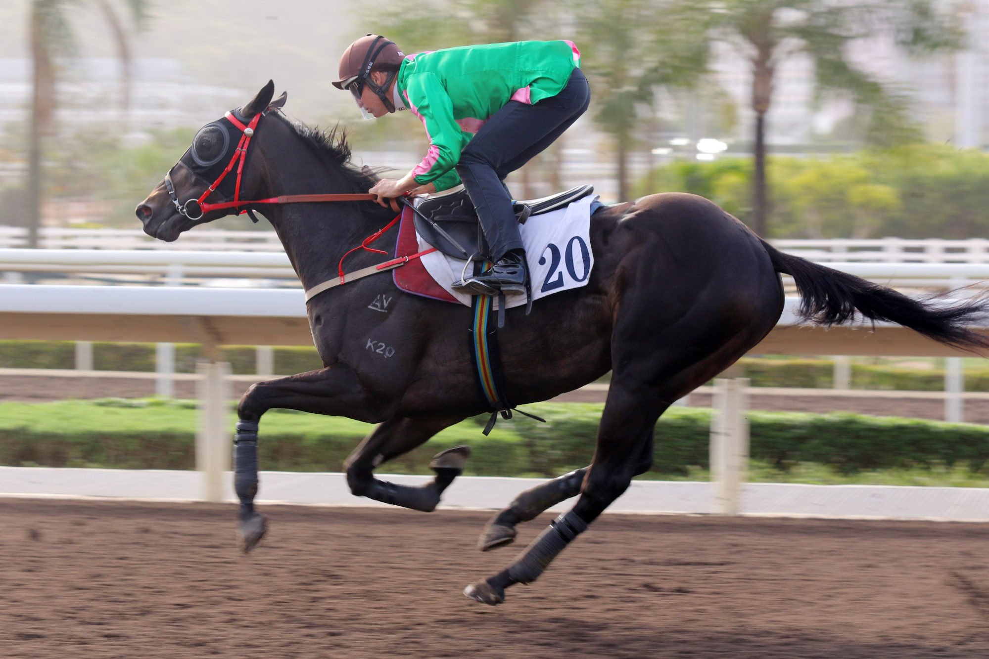 Bundle Award in action in a recent dirt trial.