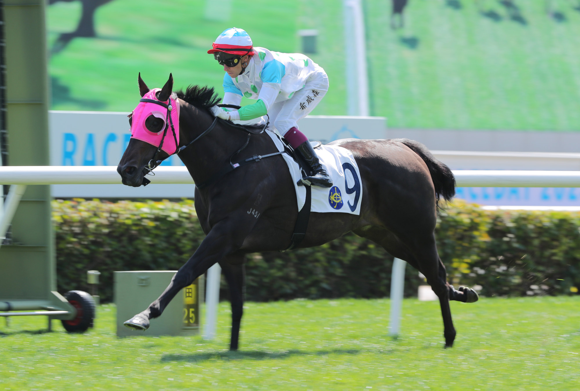 Lyle Hewitson boots home Gallant Epoch.