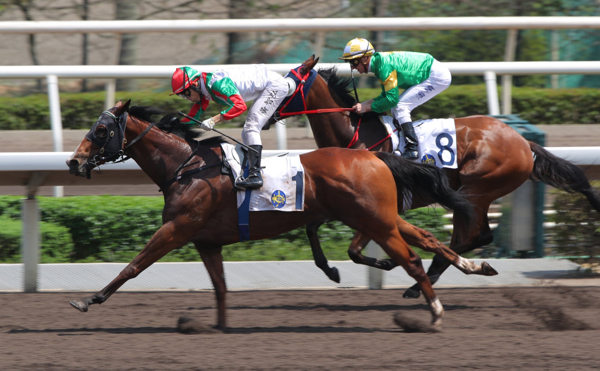 Ellis Wong lifts Solid Shalaa to victory.