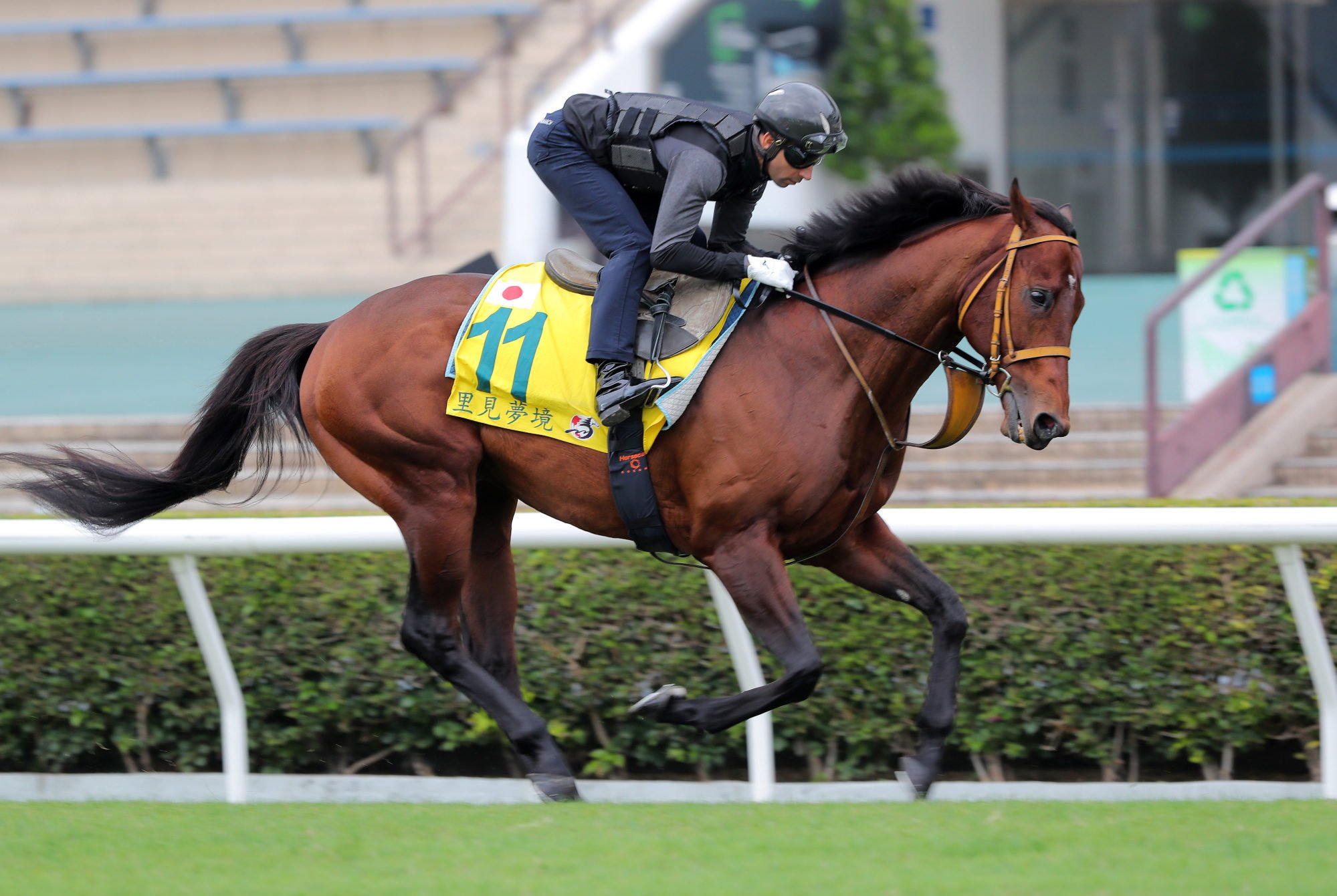 Satono Reve gallops on the Sha Tin turf last December. Photo: Kenneth Chan