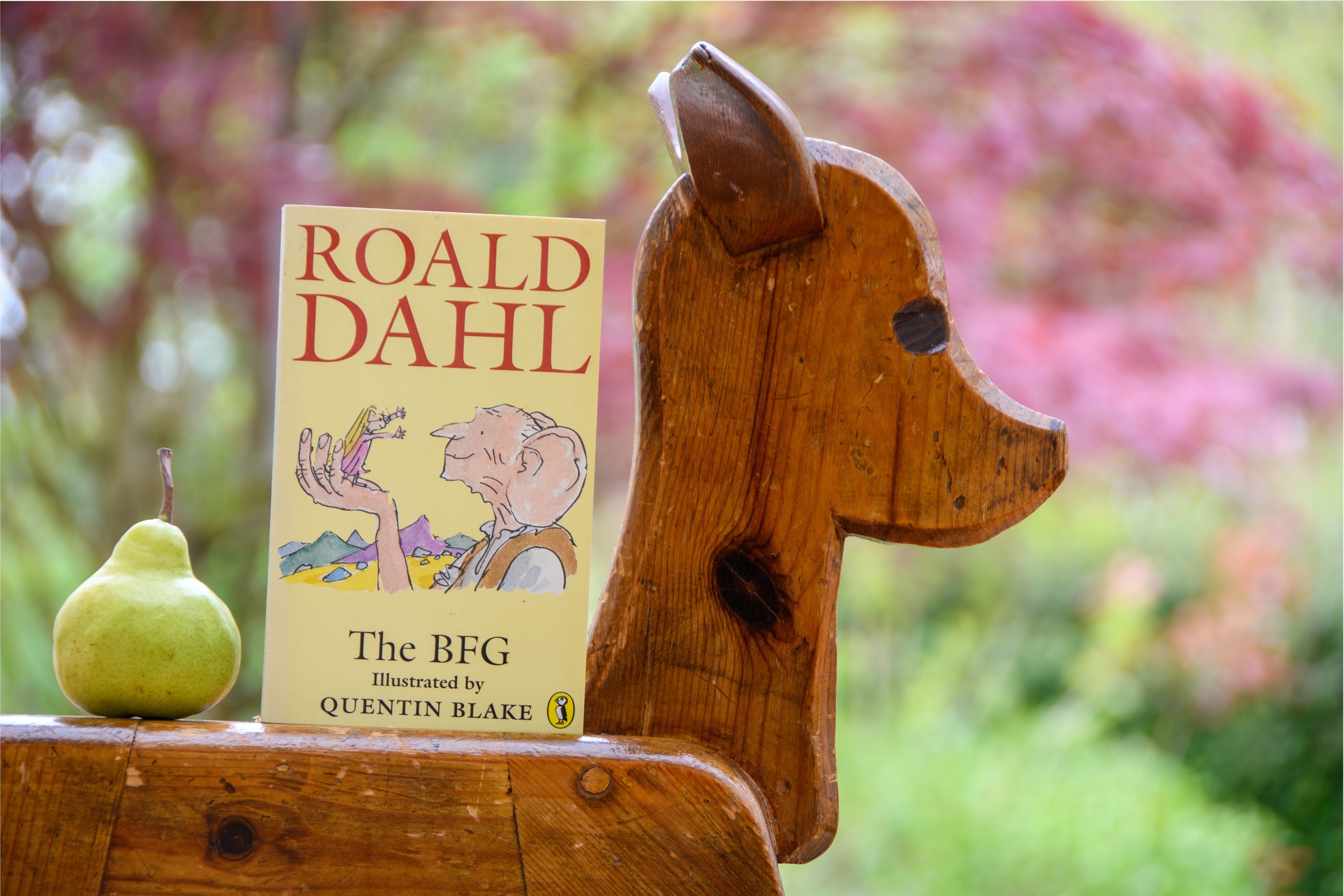 Advika Mittal recommends reading “The BFG” by Roald Dahl. Photo: Shutterstock
