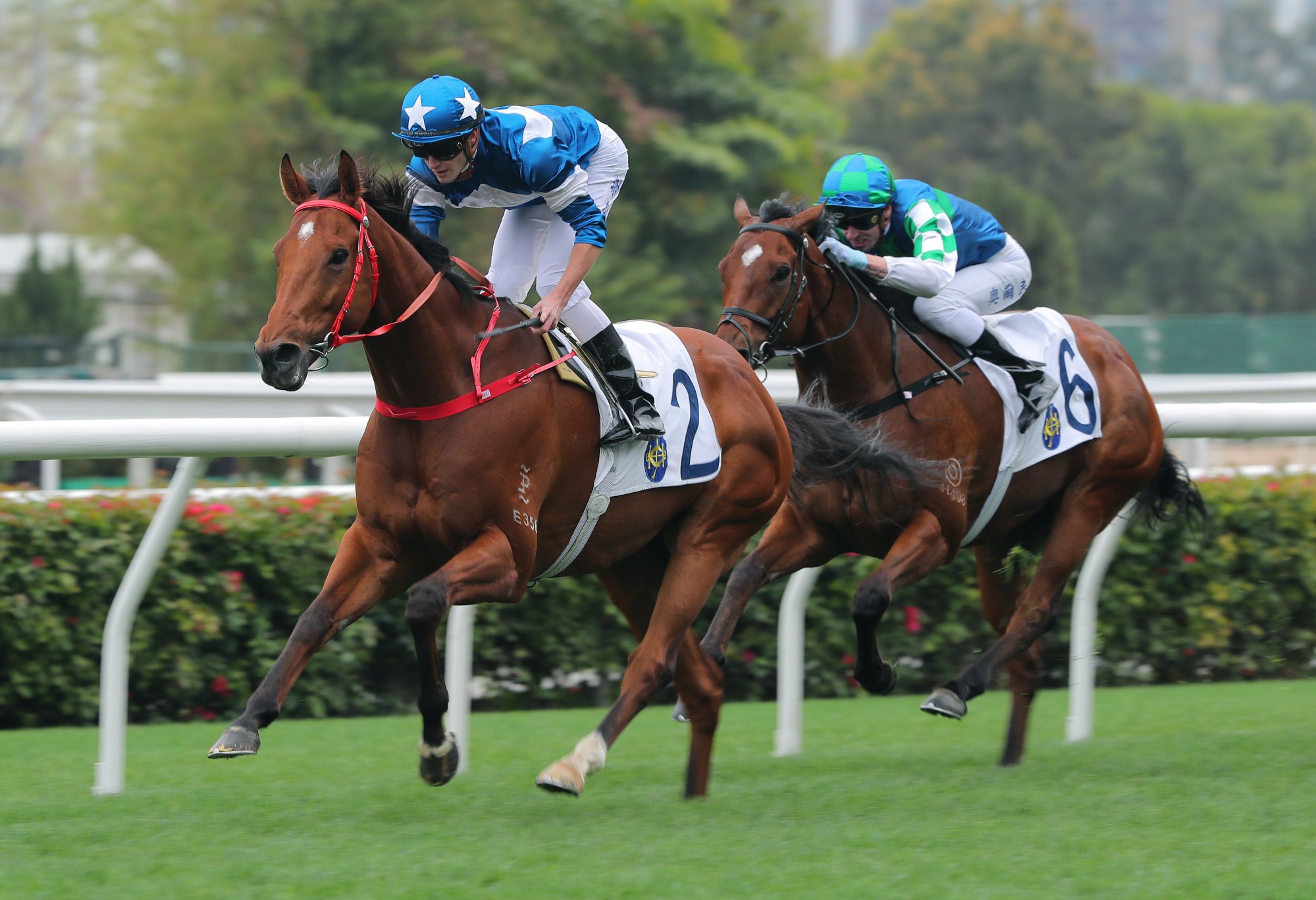 Lucky With You scores an effortless win under Luke Ferraris.