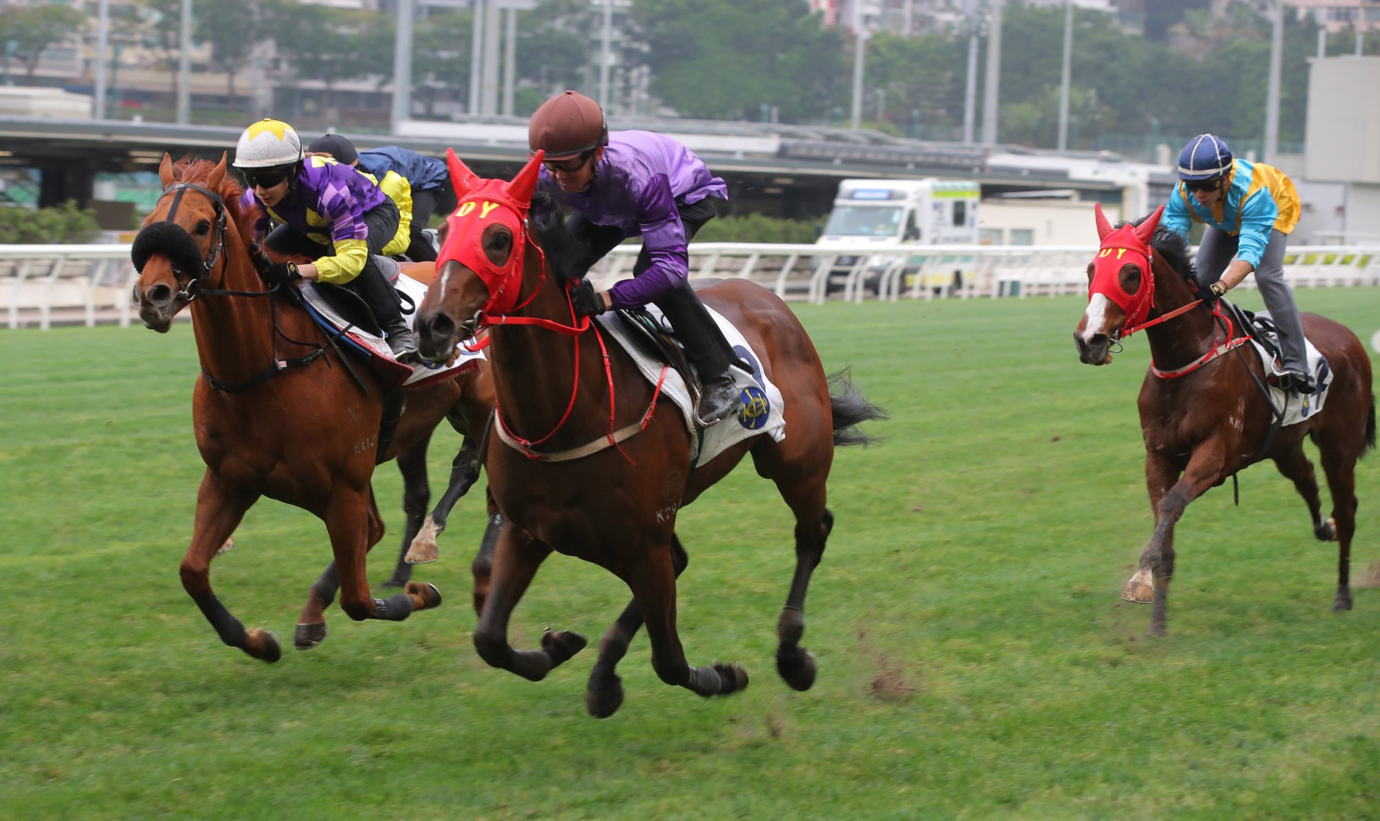 All’s Well (outside) runs second in a Valley trial last month.