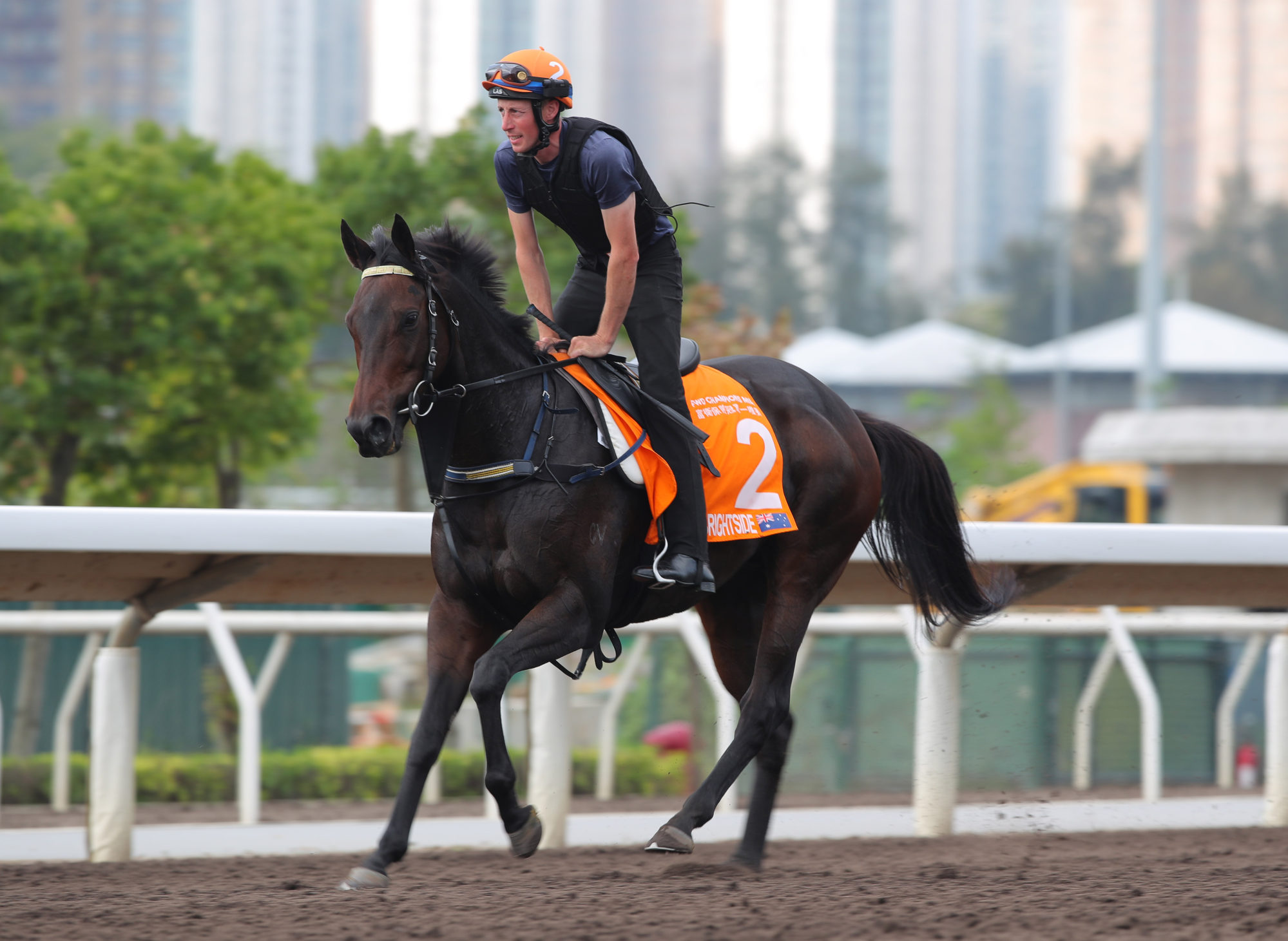 Mr Brightside gallops on Sha Tin’s all-weather track on Wednesday. Photo: Kenneth Chan