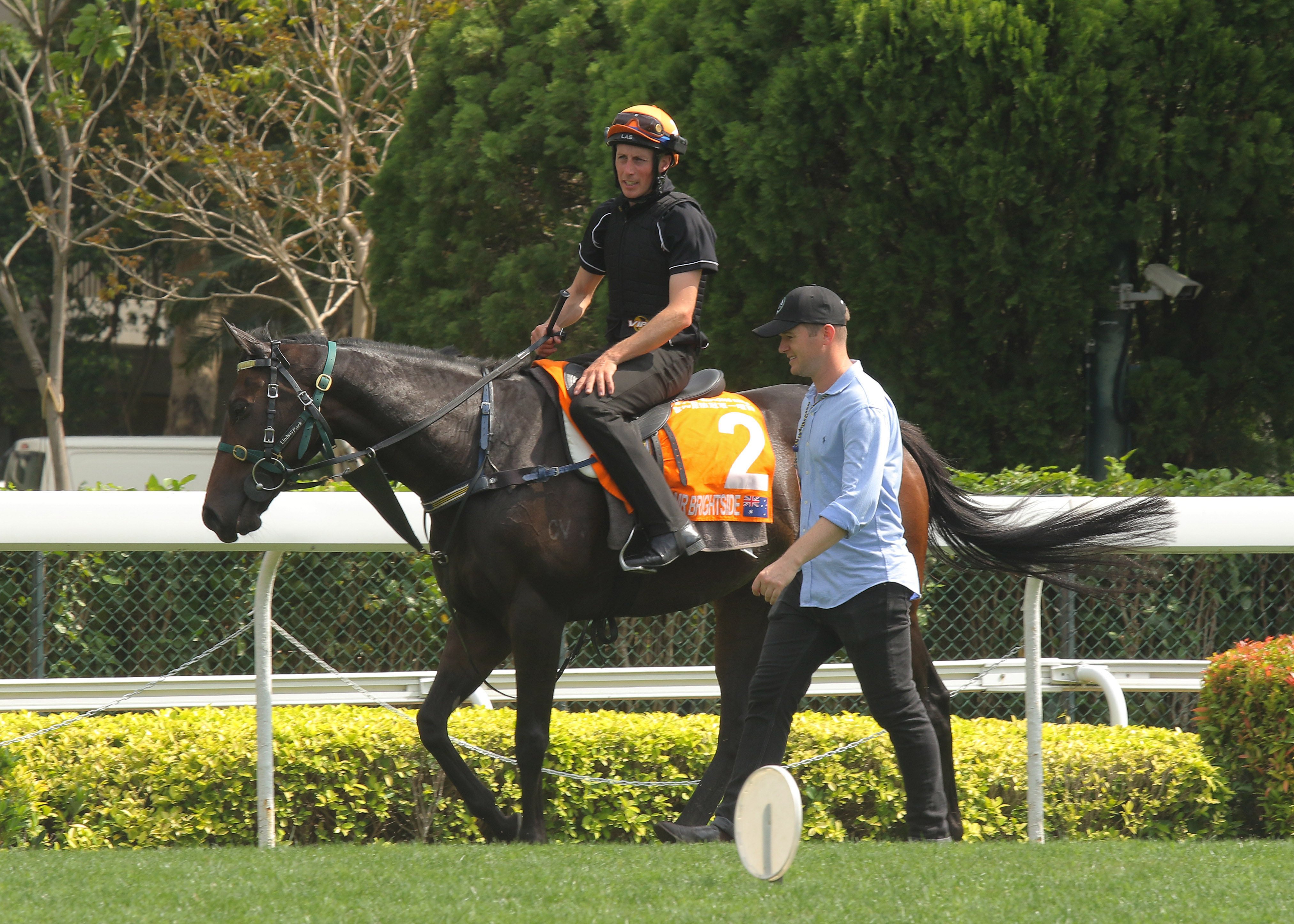 Trainer Ben Hayes looks over Mr Brightside at Sha Tin trackwork. Photos: Kenneth Chan
